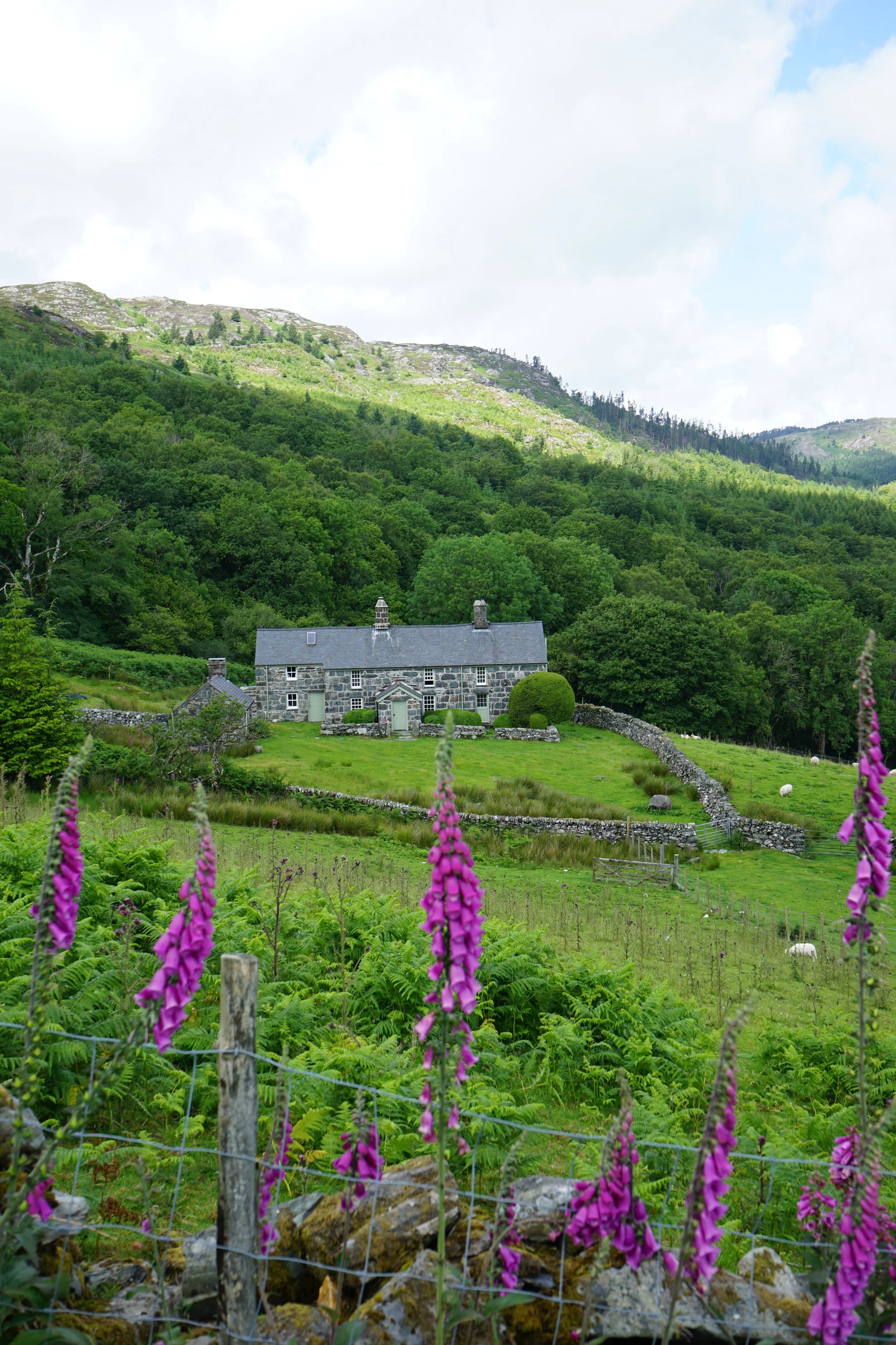 Where can you&nbsp; stay in Britain's temperate rainforest?