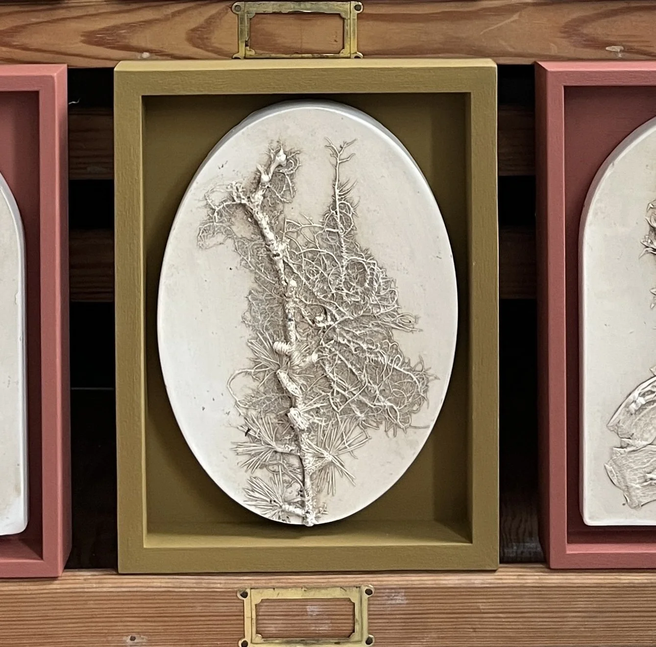 LARCH BRANCH OVAL (framed)