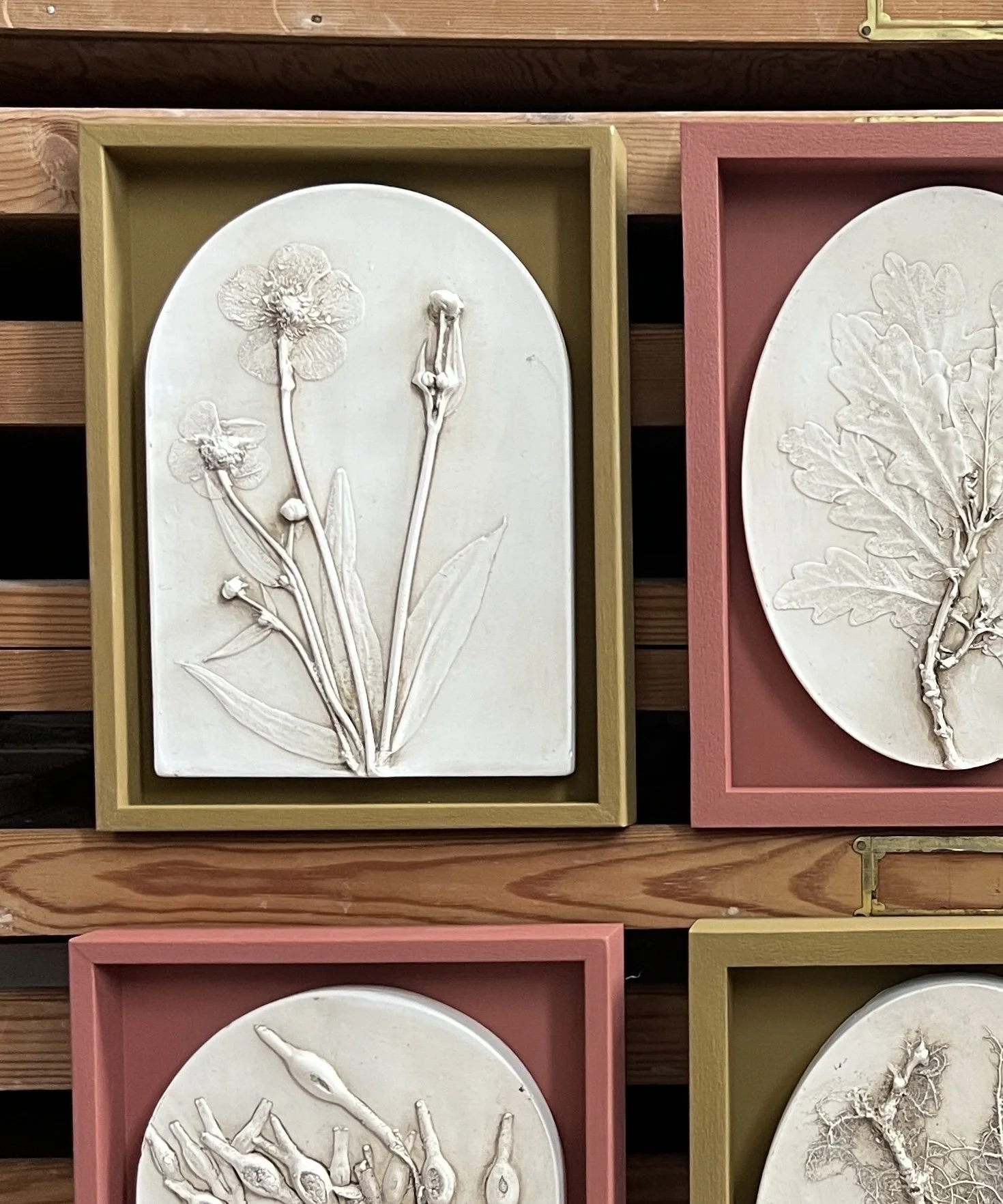 MARSH MARIGOLD ARCH (framed)