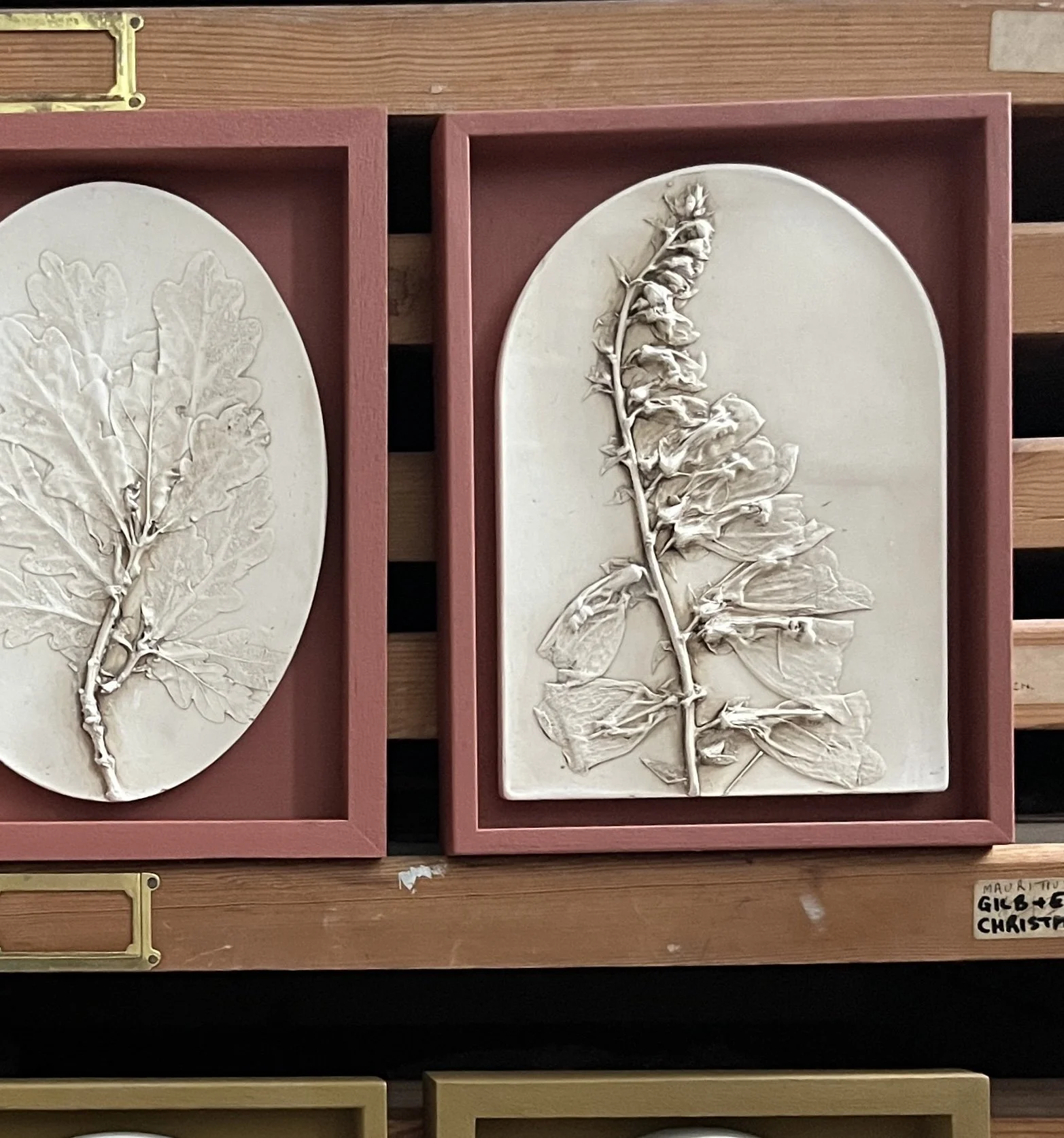 FOXGLOVE ARCH (framed)