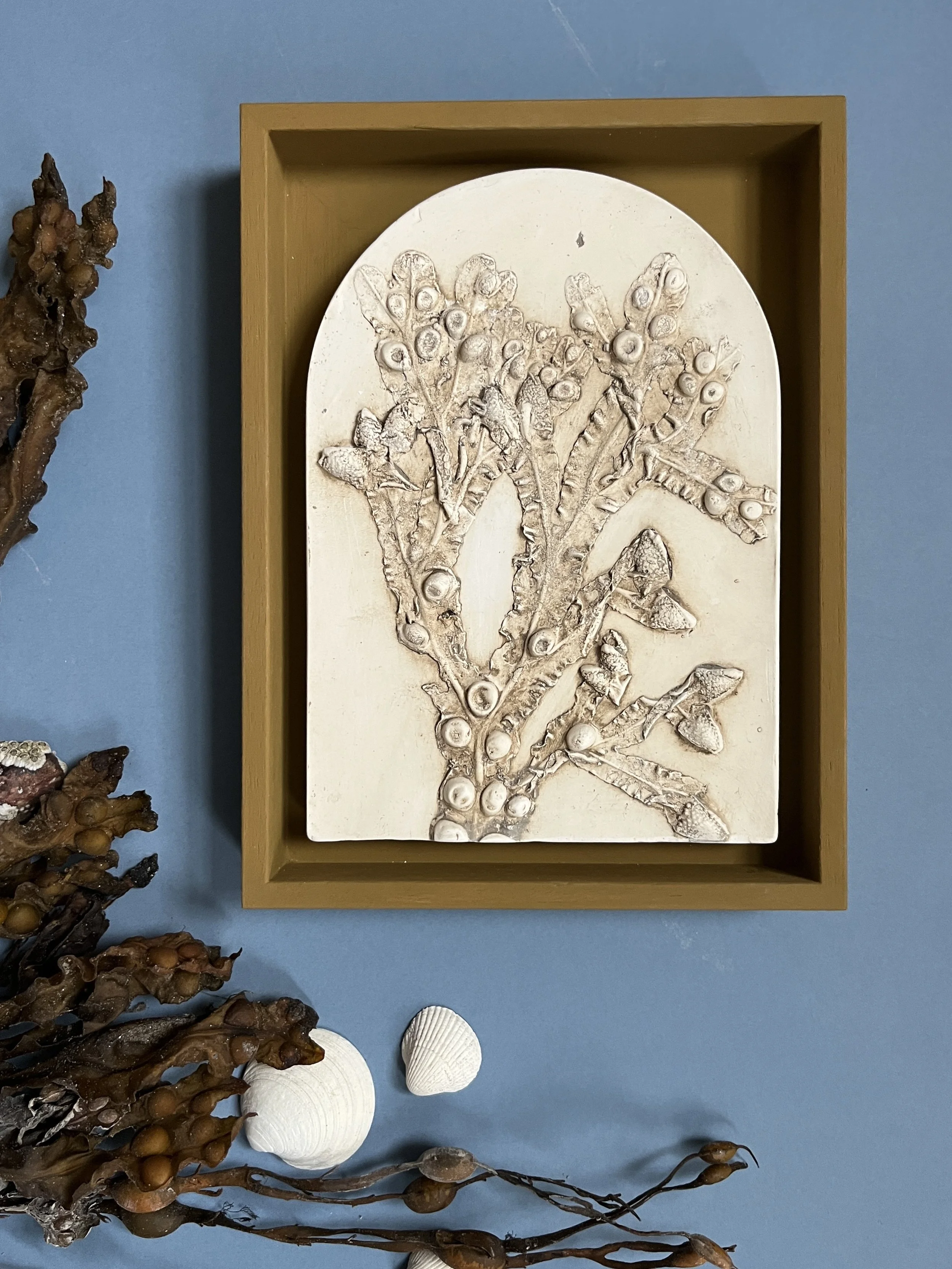 SEAWEED ARCH (unframed)