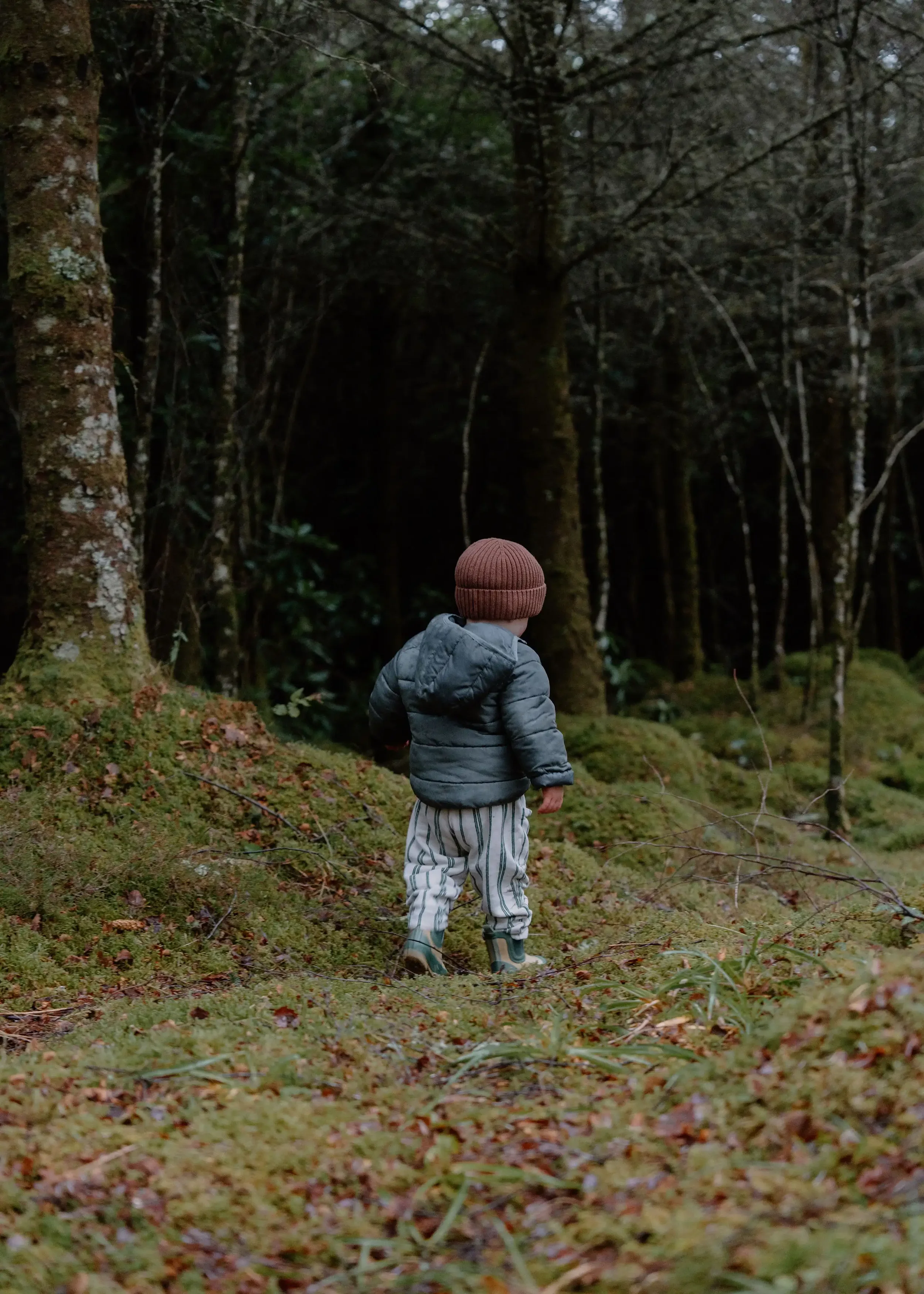 Child exploring the woods and Celtic Rainforest at Borradill cabins on Ardnamurchan