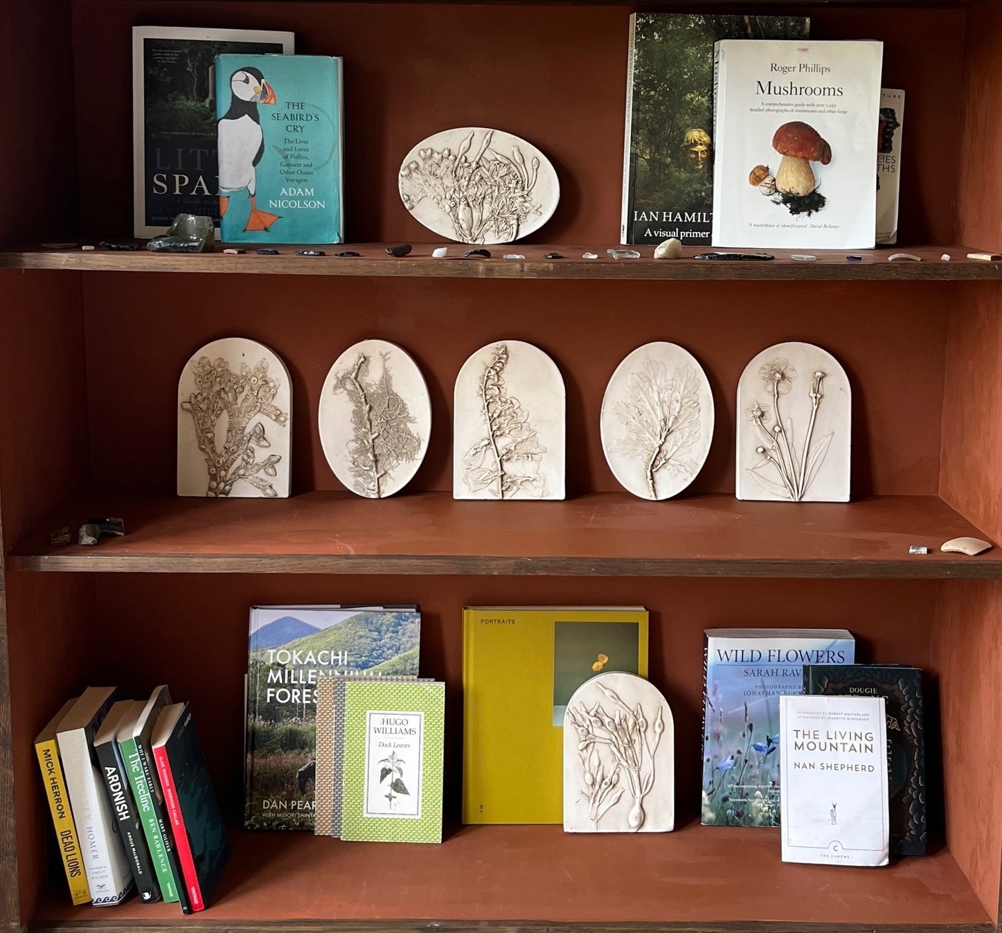 MUSEUMCUPBOARD.jpeg (Copy) (Copy)