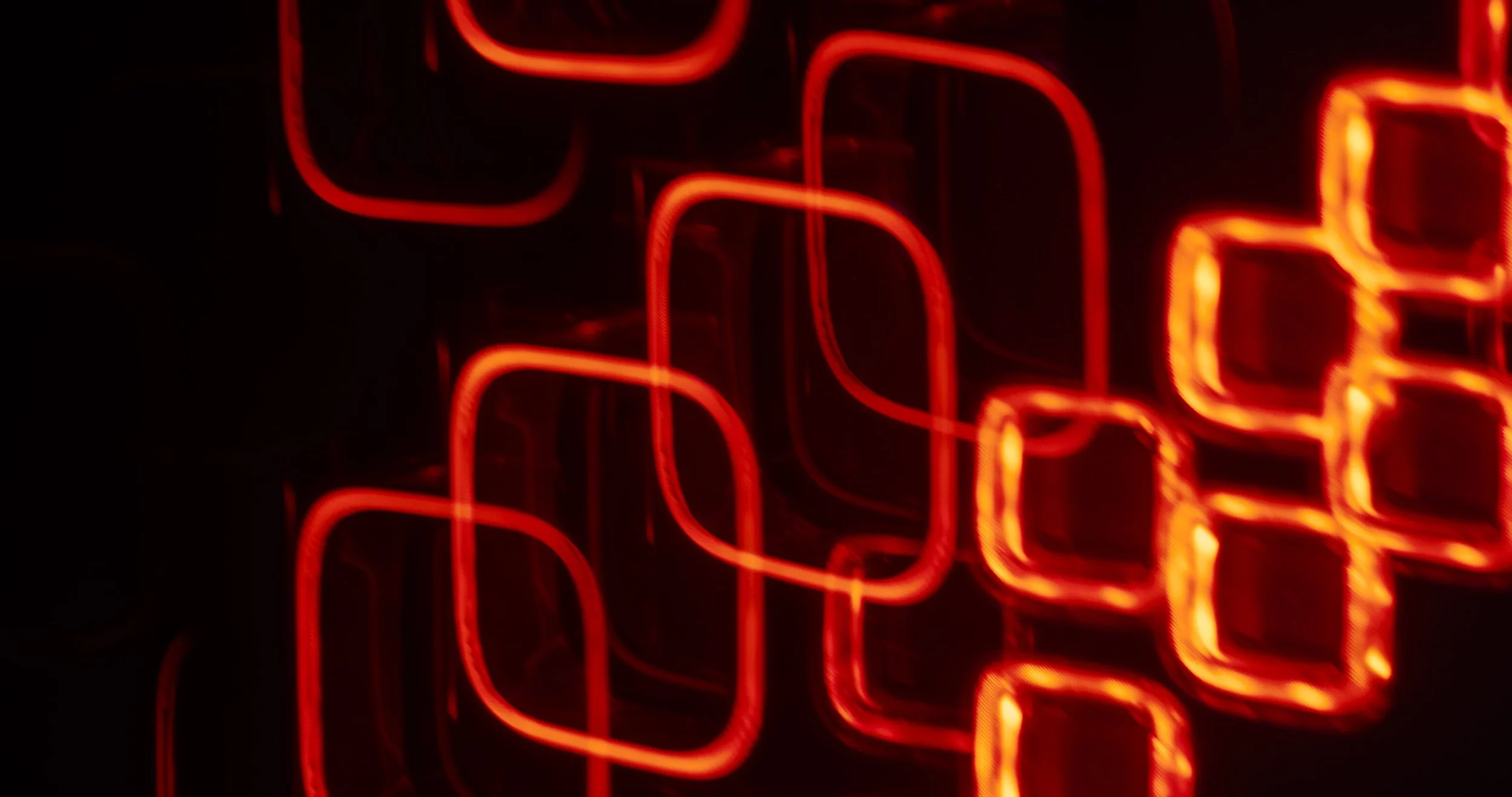 OCTA_FrameGrabs-12 (1).jpg