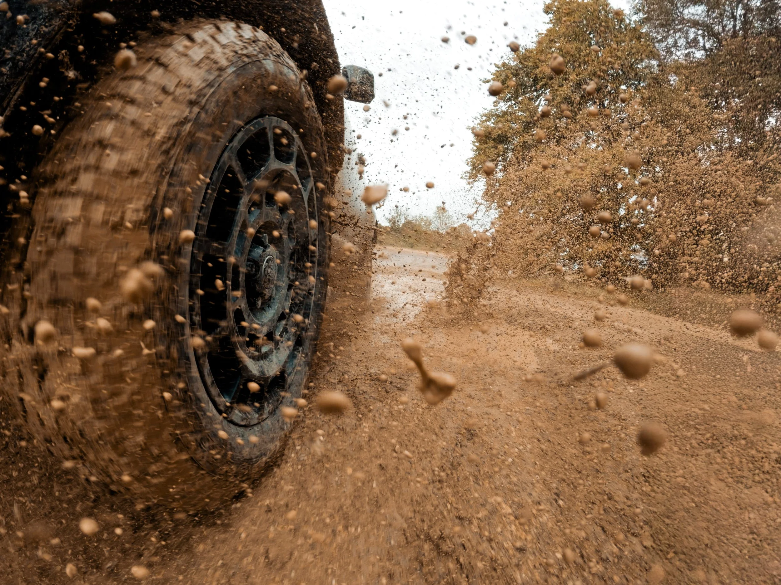 OCTA_FrameGrabs-57 (1).jpg