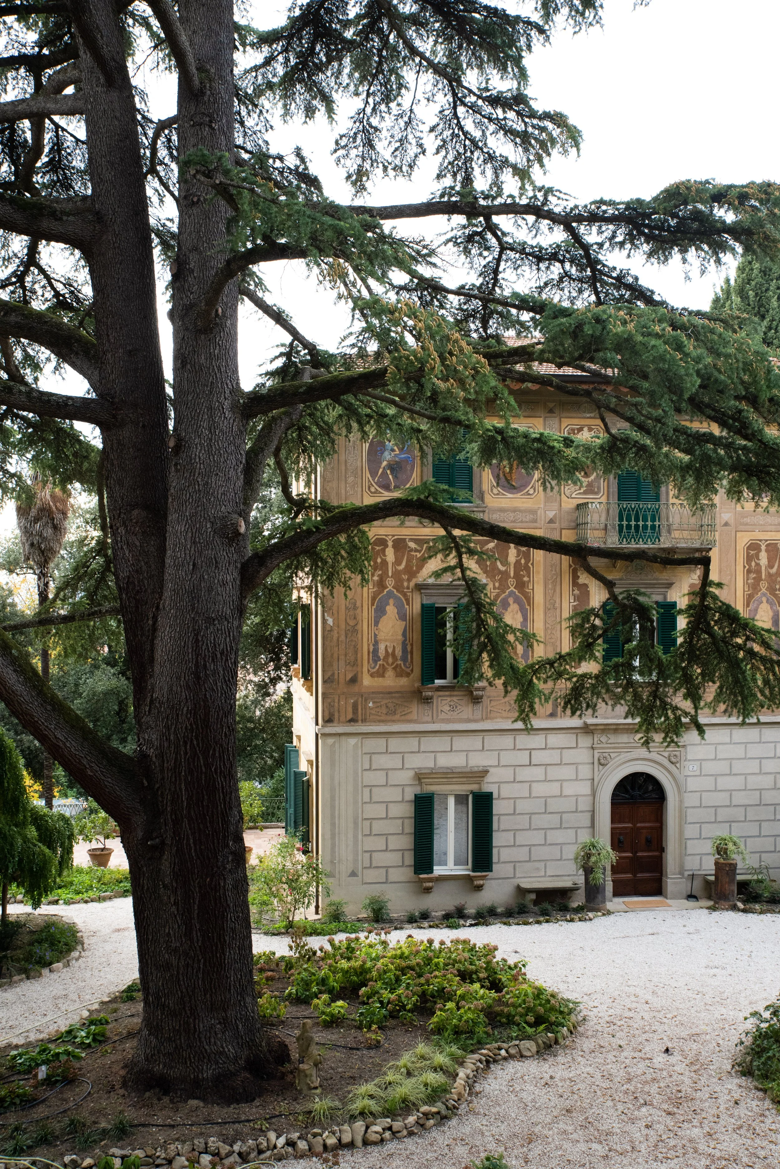 Un grande albero con rami che si estendono verso un edificio storico con pareti decorate e finestre con persiane verdi, nel giardino.