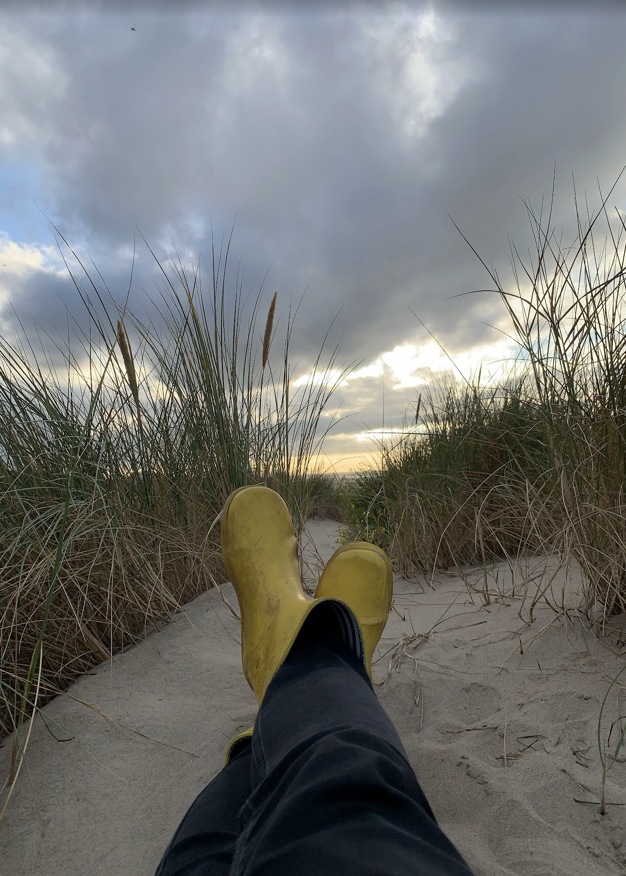 Screenshot 2025-11-06 at 12.00.45.png