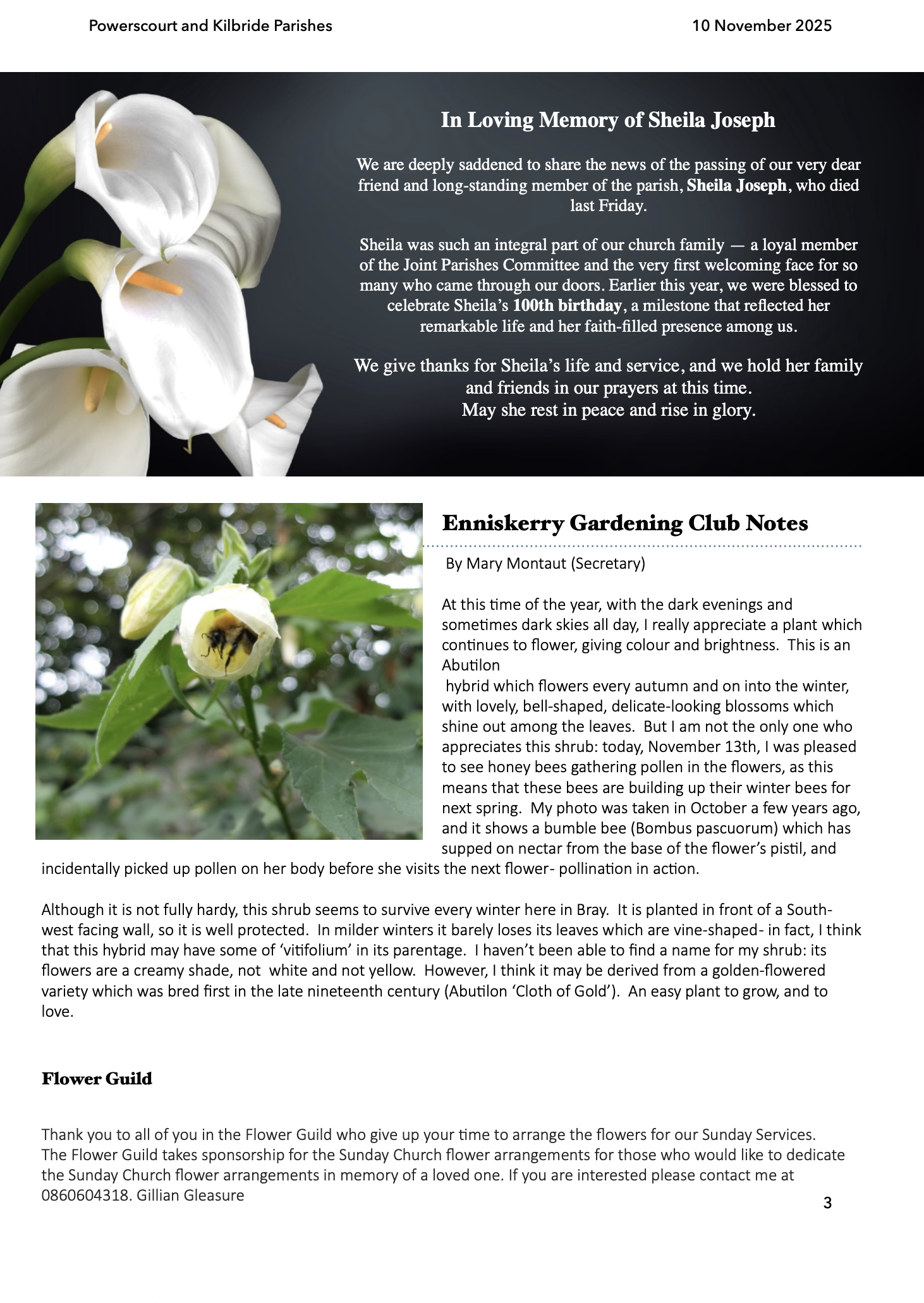 Screenshot 2025-11-20 at 23.03.43.png