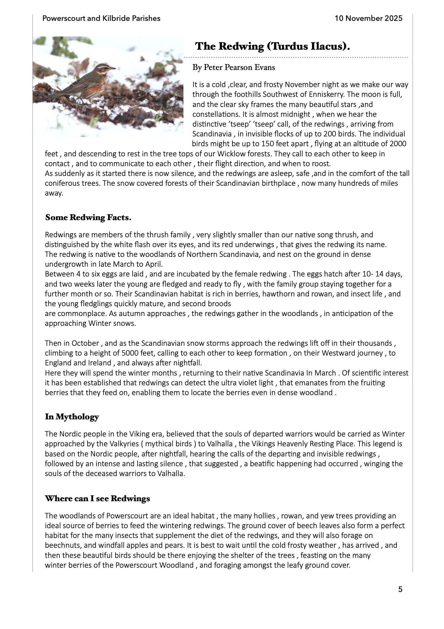 Screenshot 2025-11-20 at 23.04.00.png