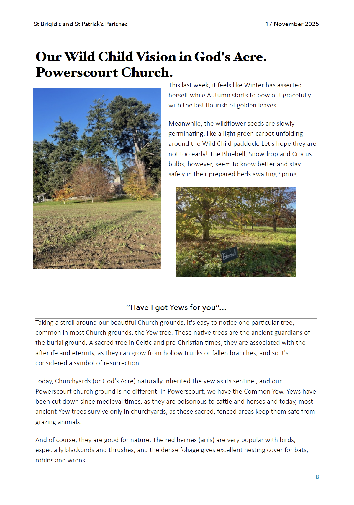 Screenshot 2025-11-20 at 23.01.07.png