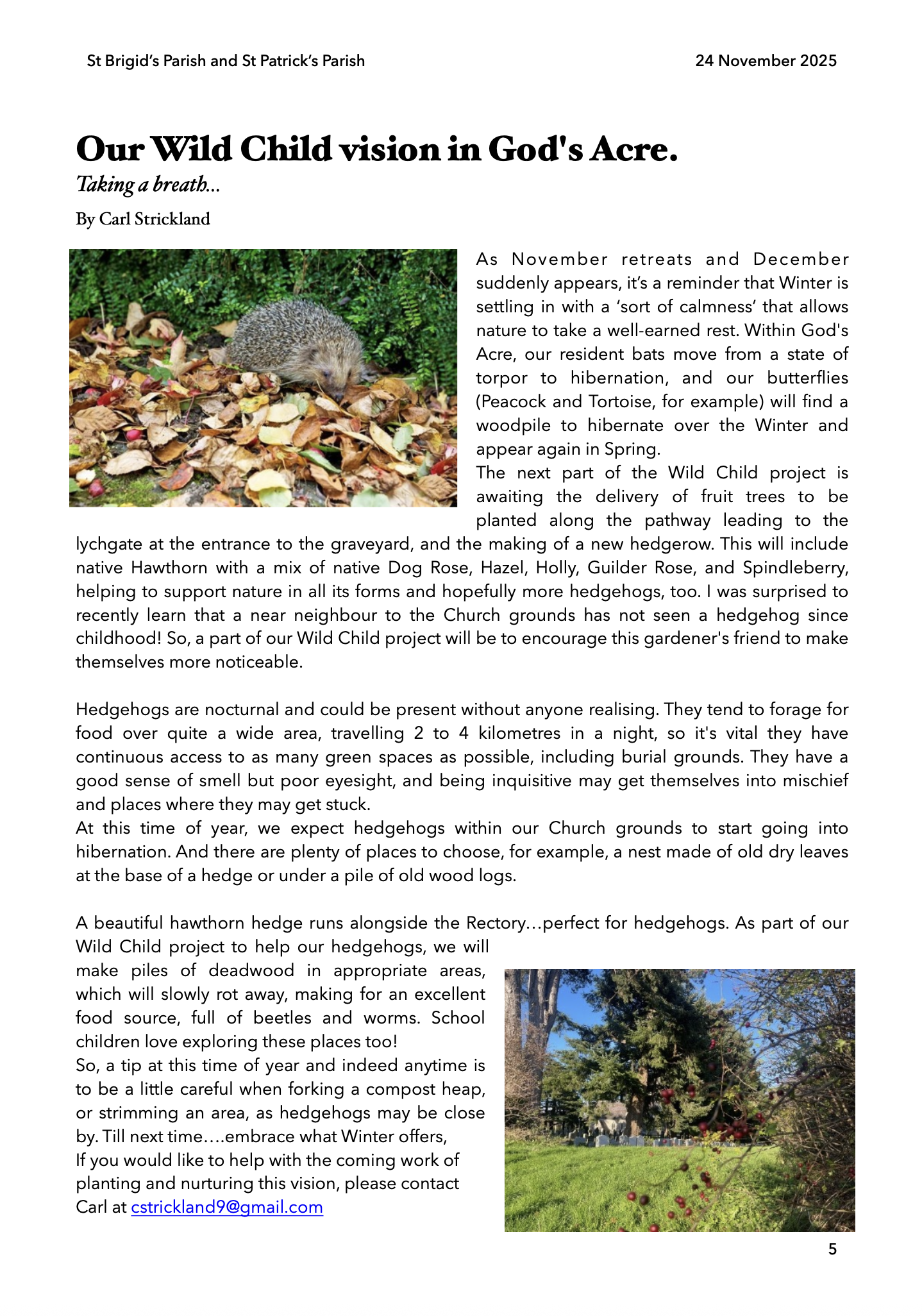 Screenshot 2025-12-02 at 10.37.59.png