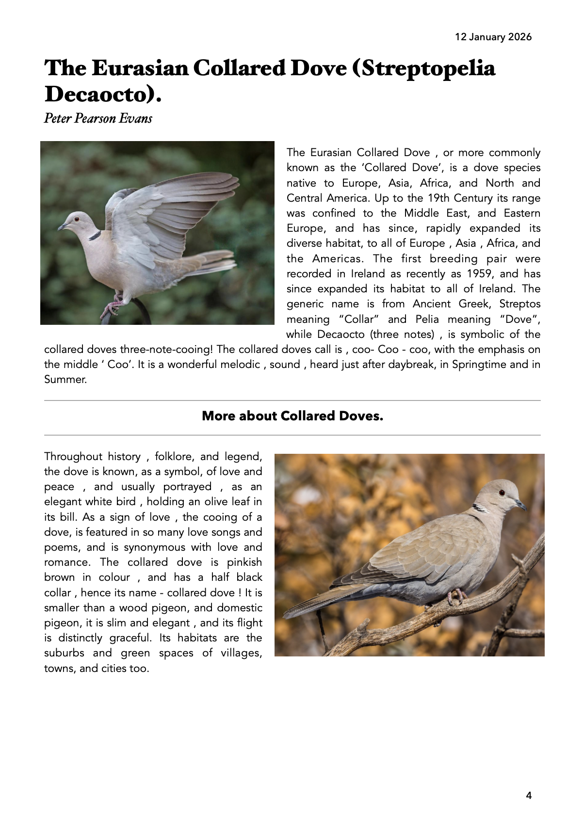 Screenshot 2026-01-15 at 21.00.59.png