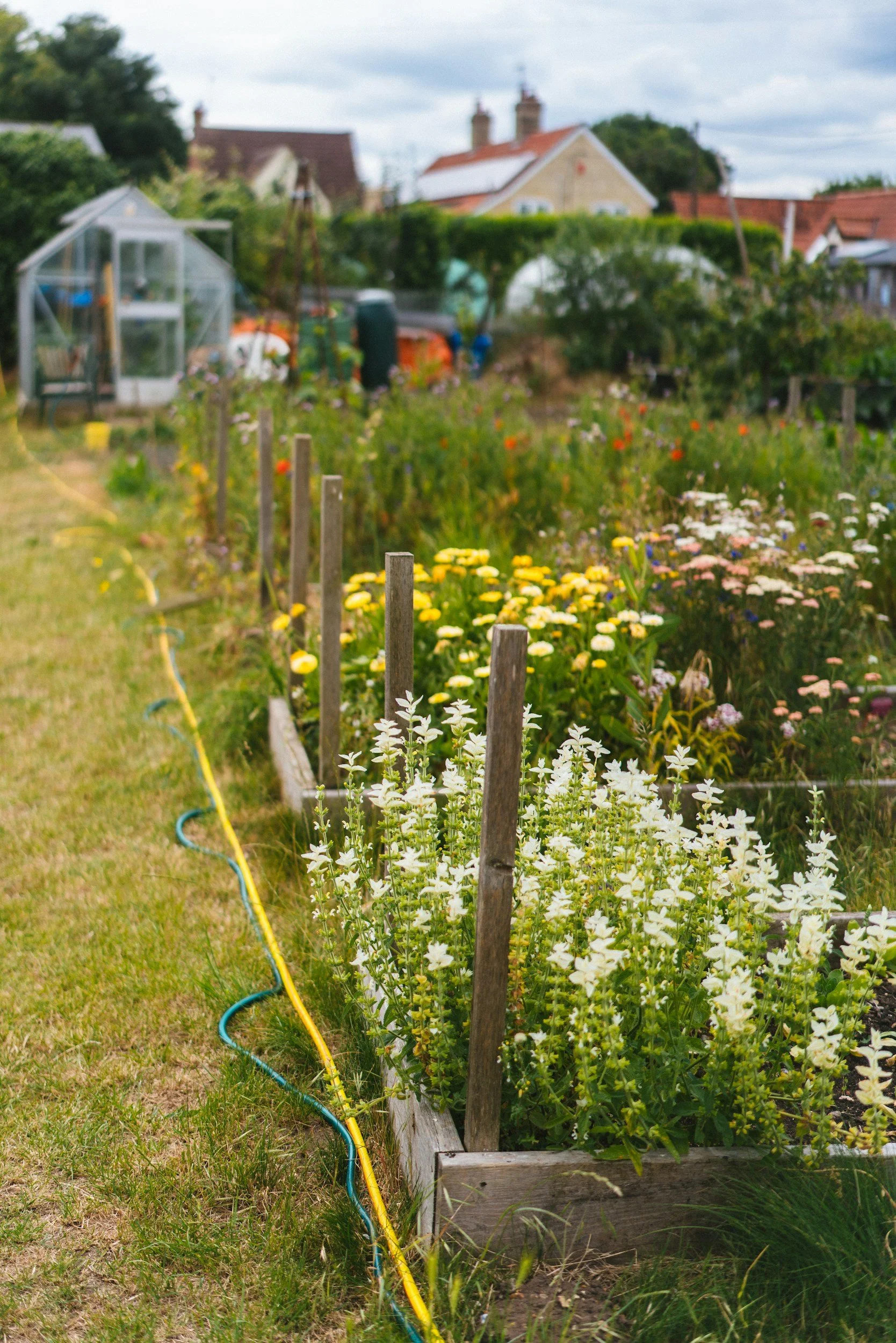 Kilternan  Gardening Club