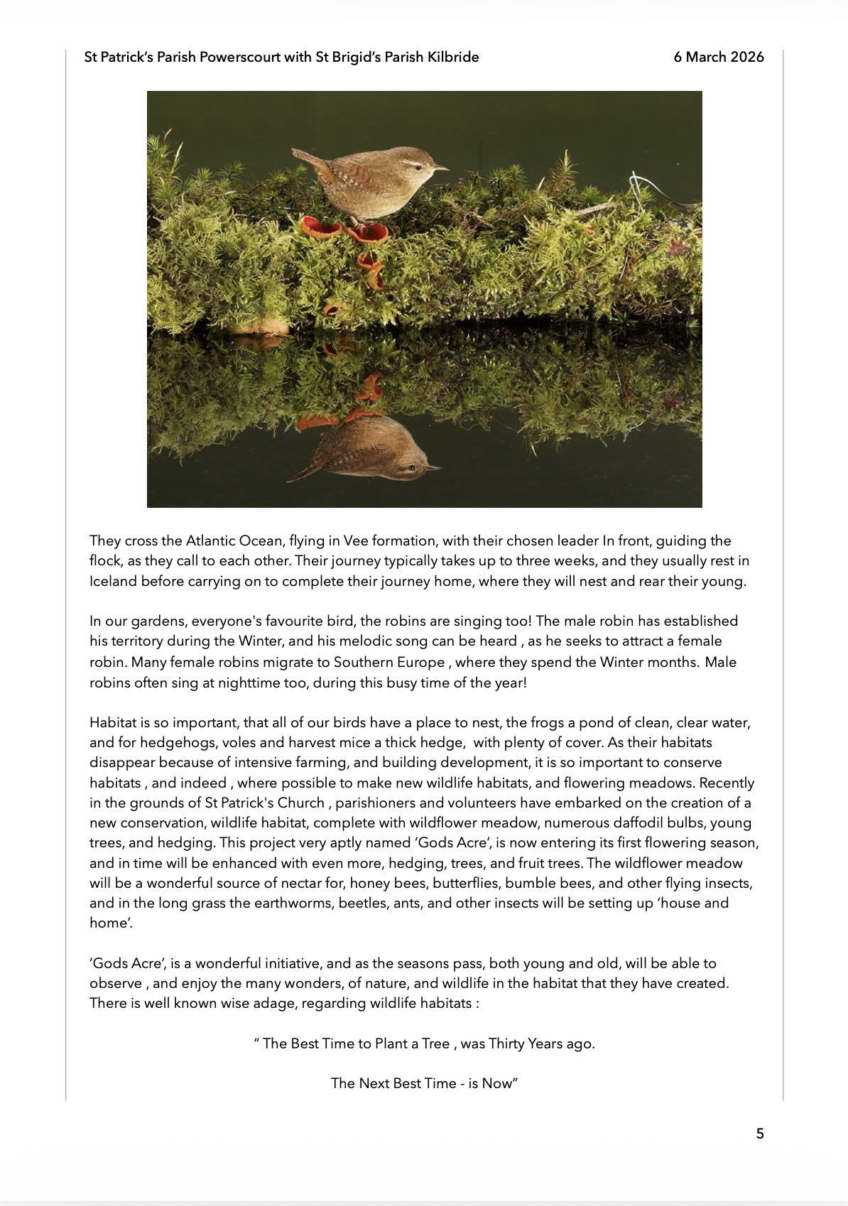 Screenshot 2026-03-05 at 22.29.26.png