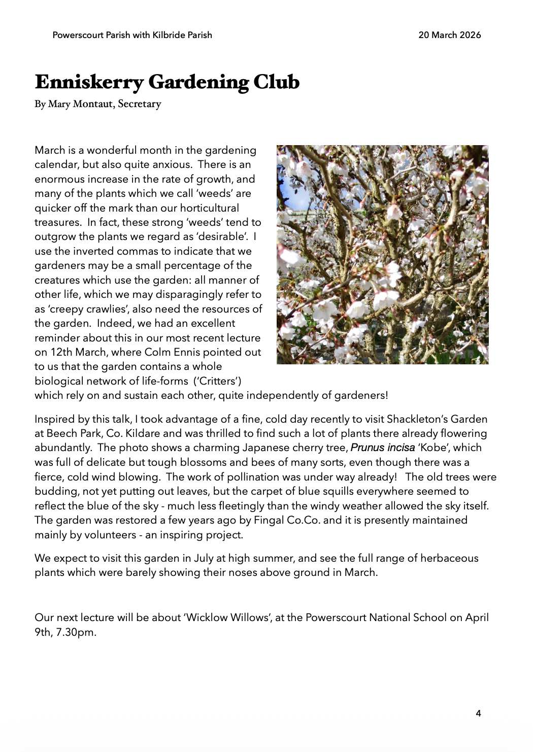 Screenshot 2026-03-19 at 20.12.49.png