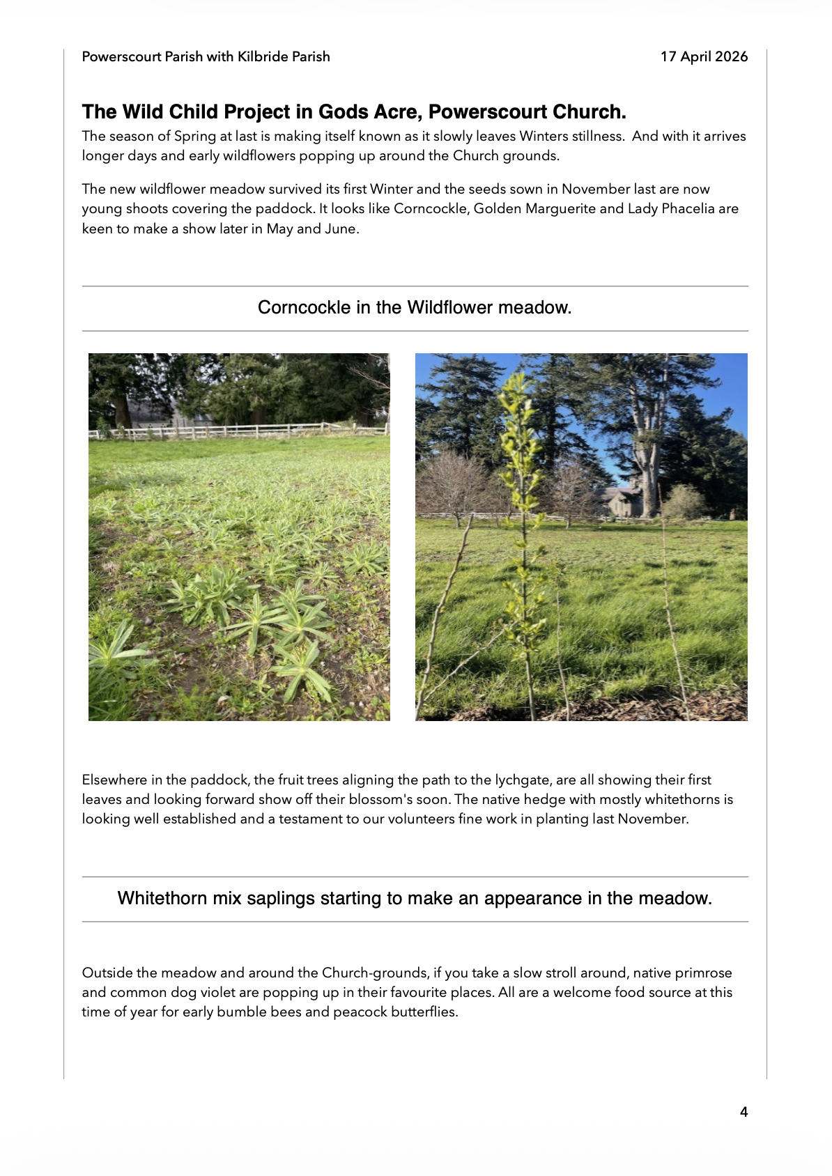 Screenshot 2026-04-16 at 22.56.18.png