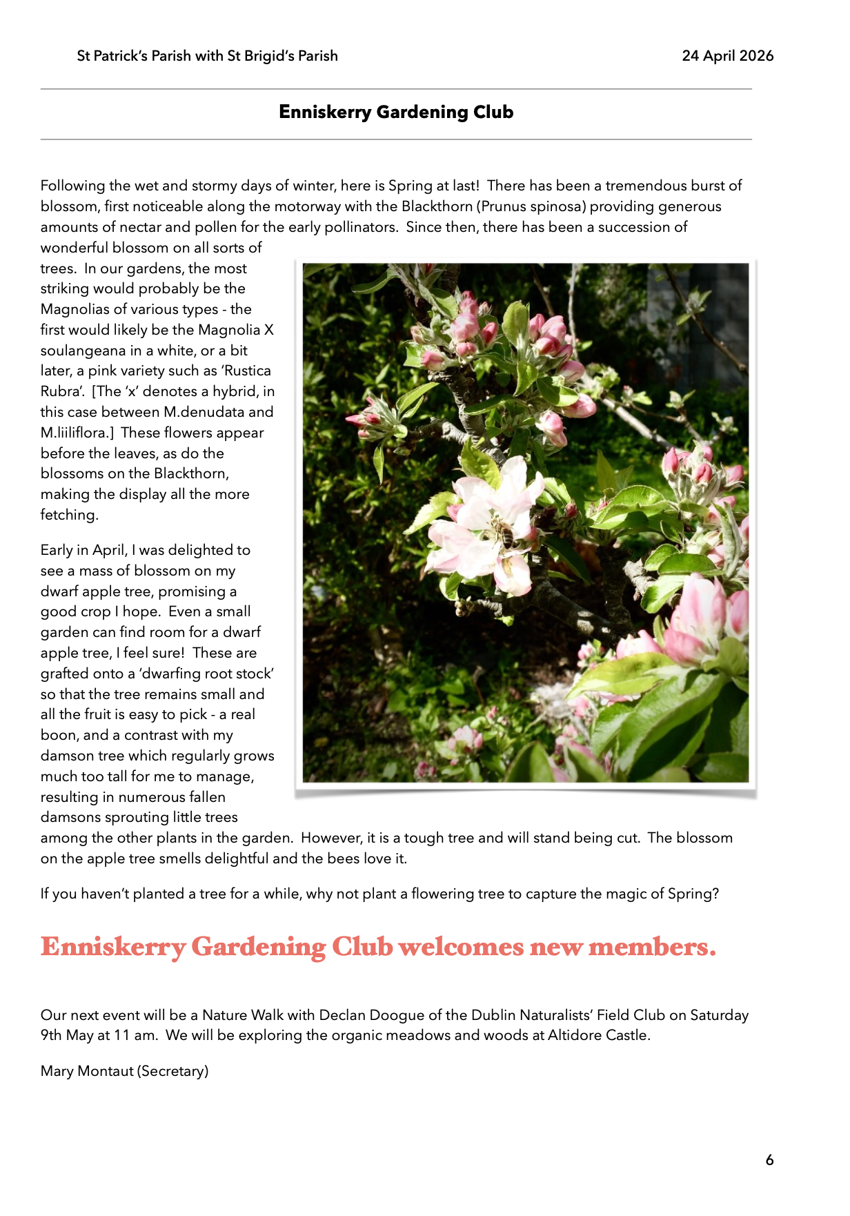 Screenshot 2026-04-23 at 22.38.17.png