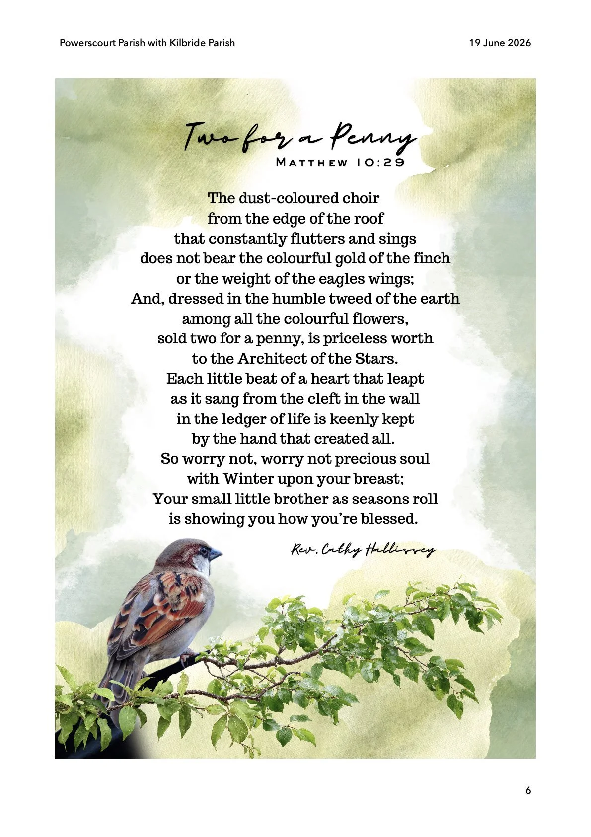 News From the Pews 19th June-pic.6.jpeg