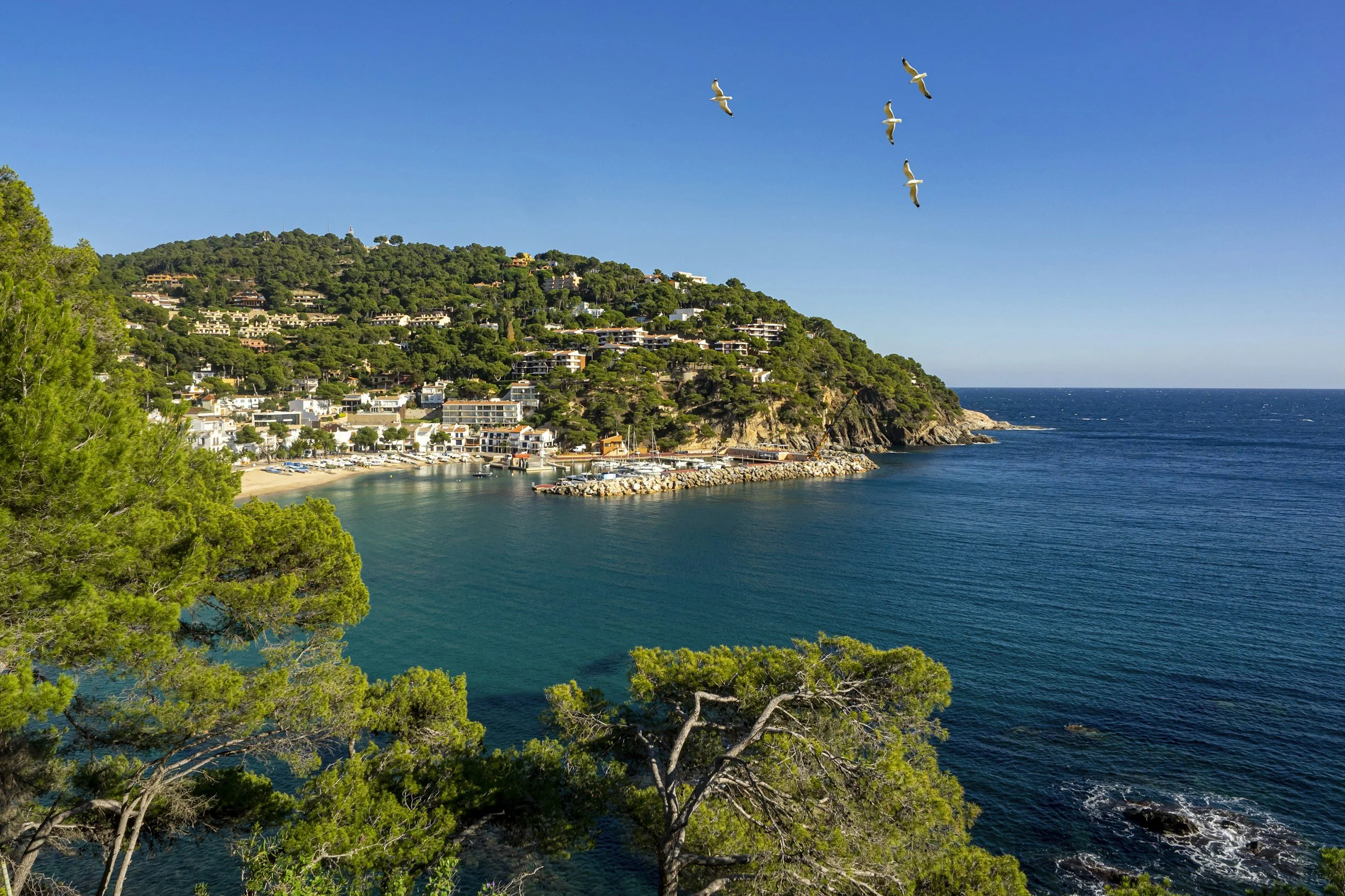 Second home management Costa Brava modern villa with pool and garden.