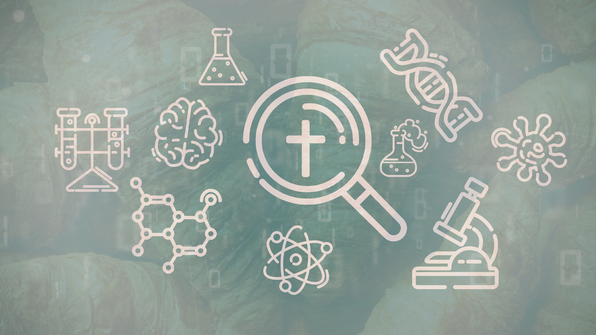 Breakfast with Prof Buggs