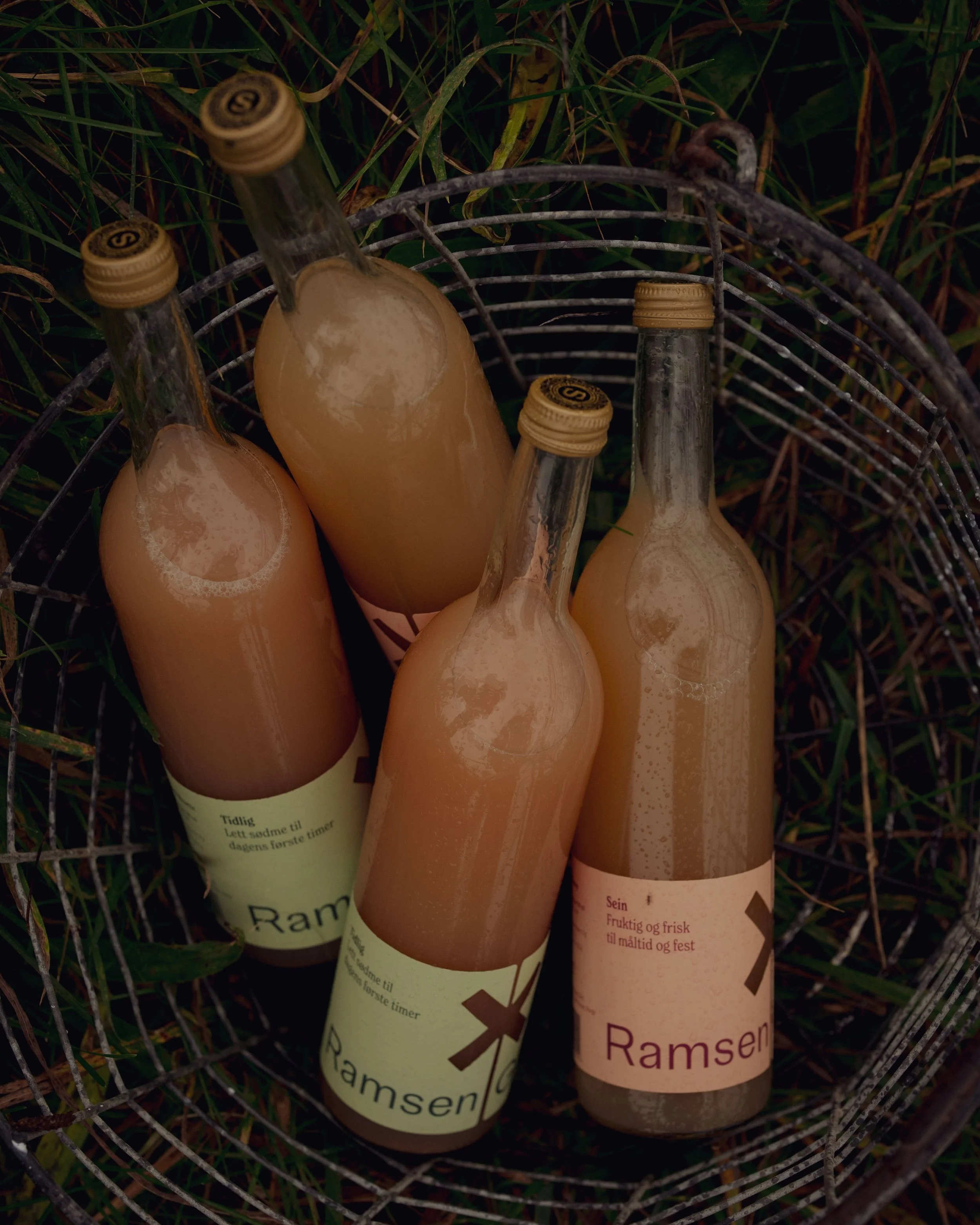 Ramsen_Foto_Tord_F_Paulsen_01.jpg