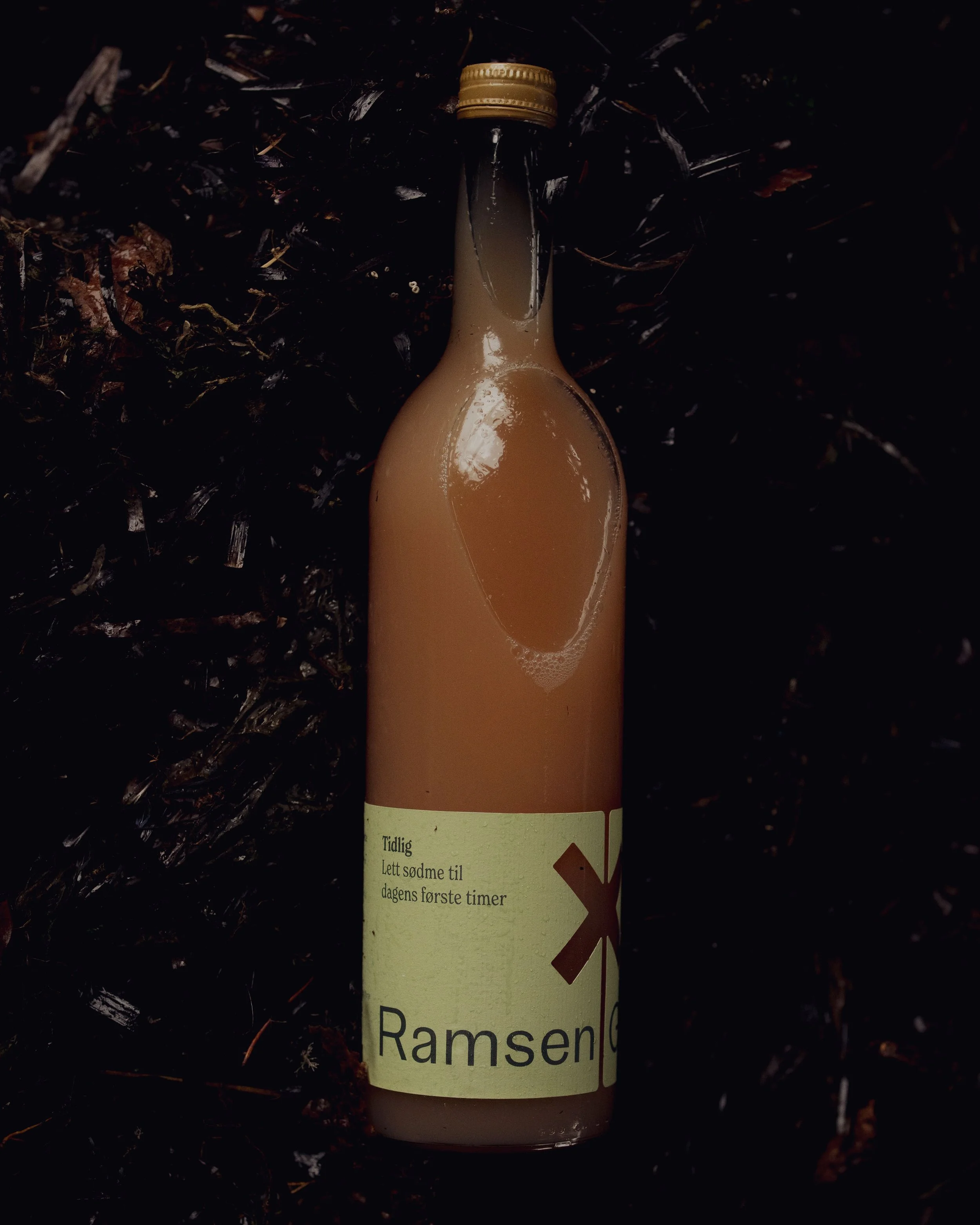 Ramsen_Foto_Tord_F_Paulsen_03.jpg
