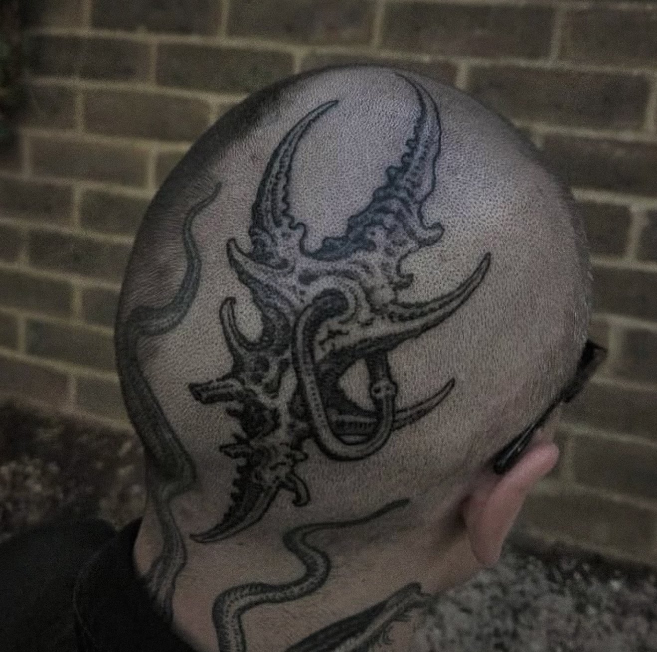 A person's shaved head with a tattoo of a squid or octopus with large, detailed tentacles.