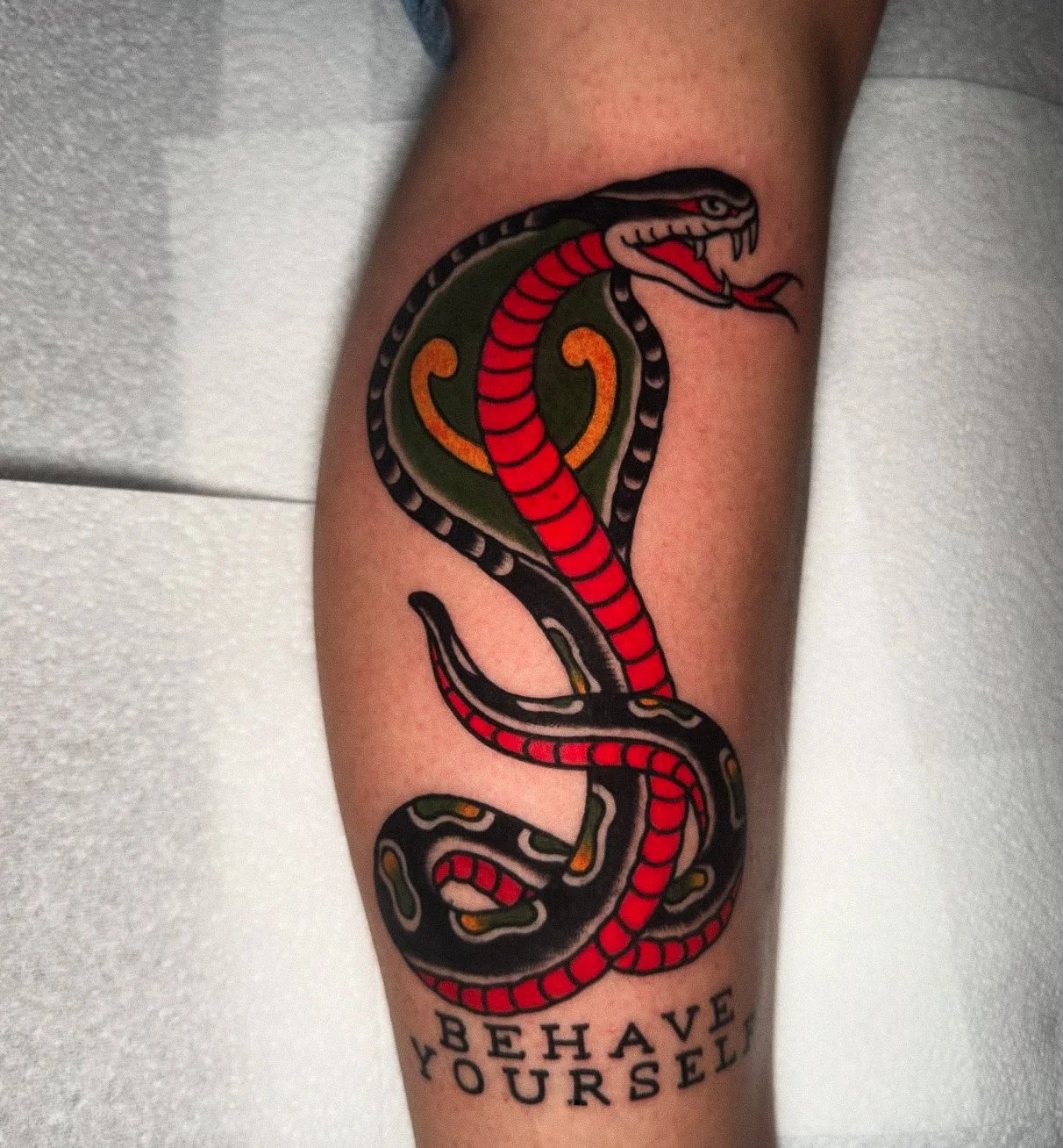 Colorful tattoo of a snake with open mouth and red forked tongue on a person's arm. Below the snake, the words "BEHAVE YOURSELF" are tattooed in black.