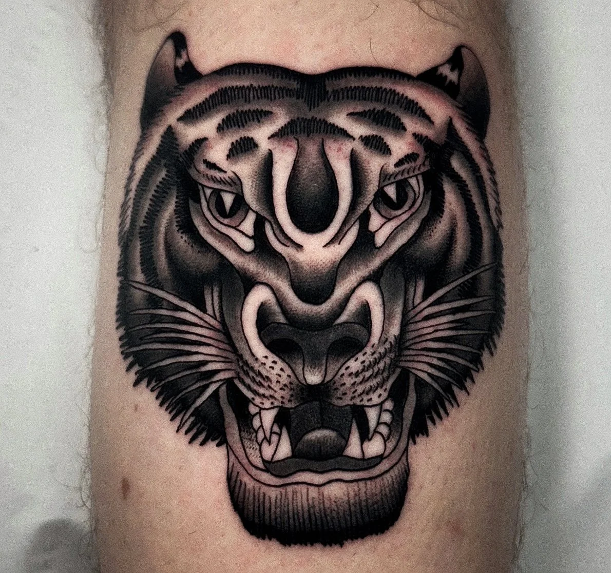 Black and gray tattoo of a fierce tiger's face with detailed shading on skin.