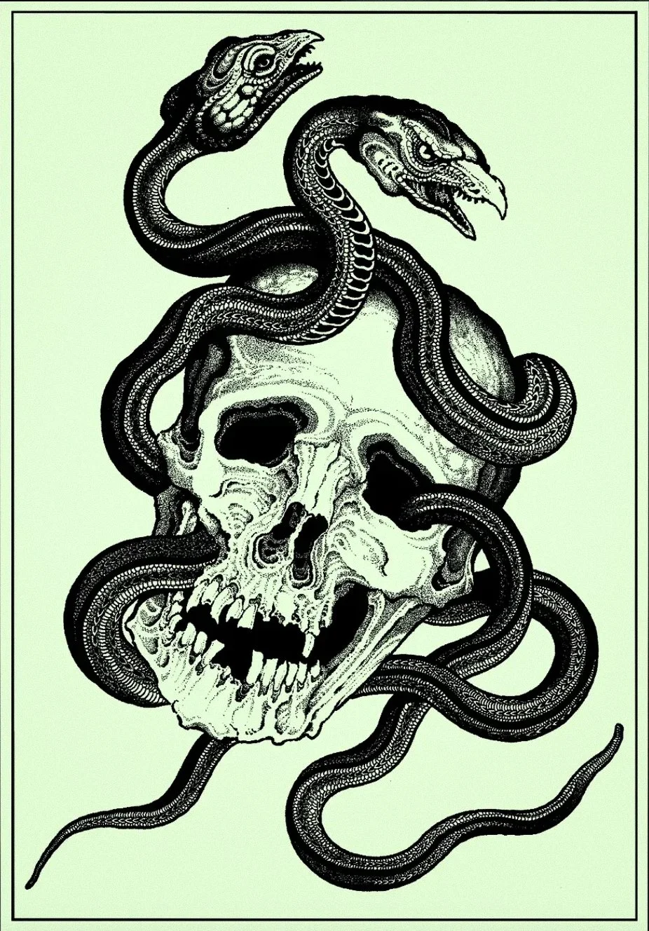 A black and white illustration of a skull with multiple snakes entwined around it, set against a pale green background.