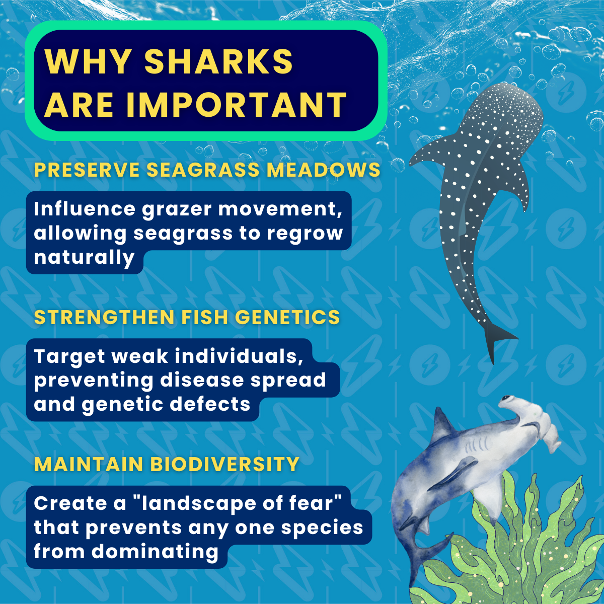 Why we’re screwed without sharks