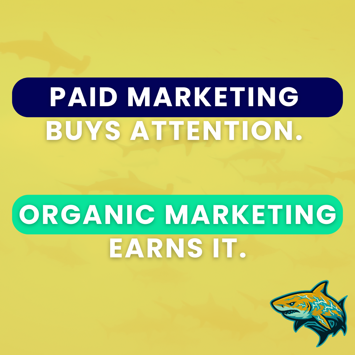 Organic marketing in 2026 and why it’s more important than your ad budget