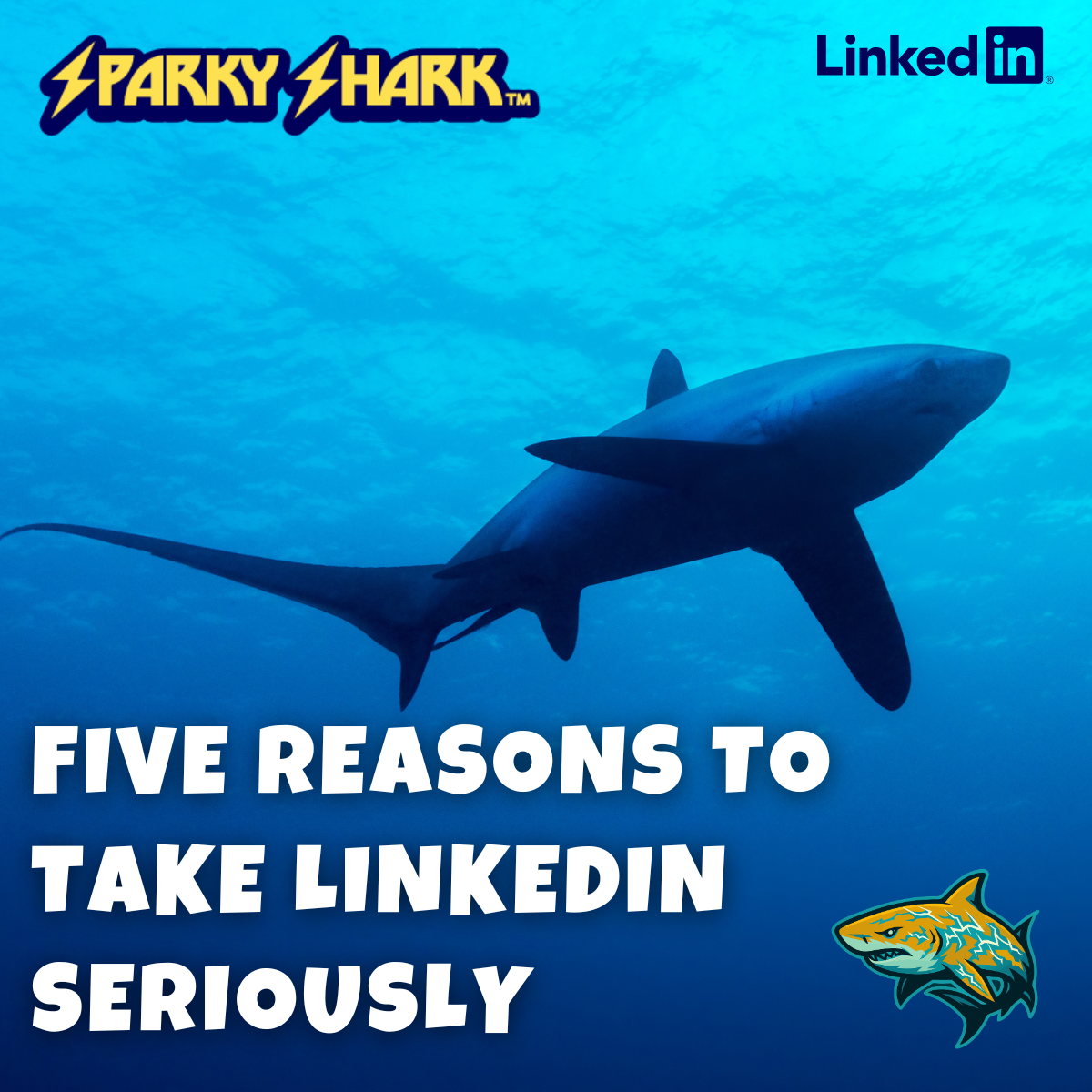 How to organically market your business on LinkedIn in 2026
