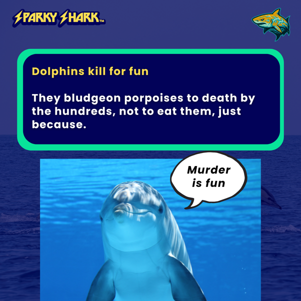 &nbsp;Why dolphins are scarier than sharks (and why humans are worse than both)