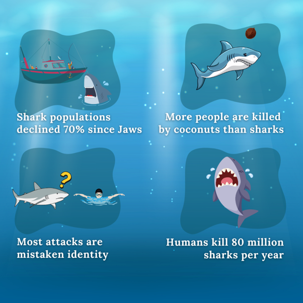 50 years of Jaws and why Hollywood sharks are nothing like real ones
