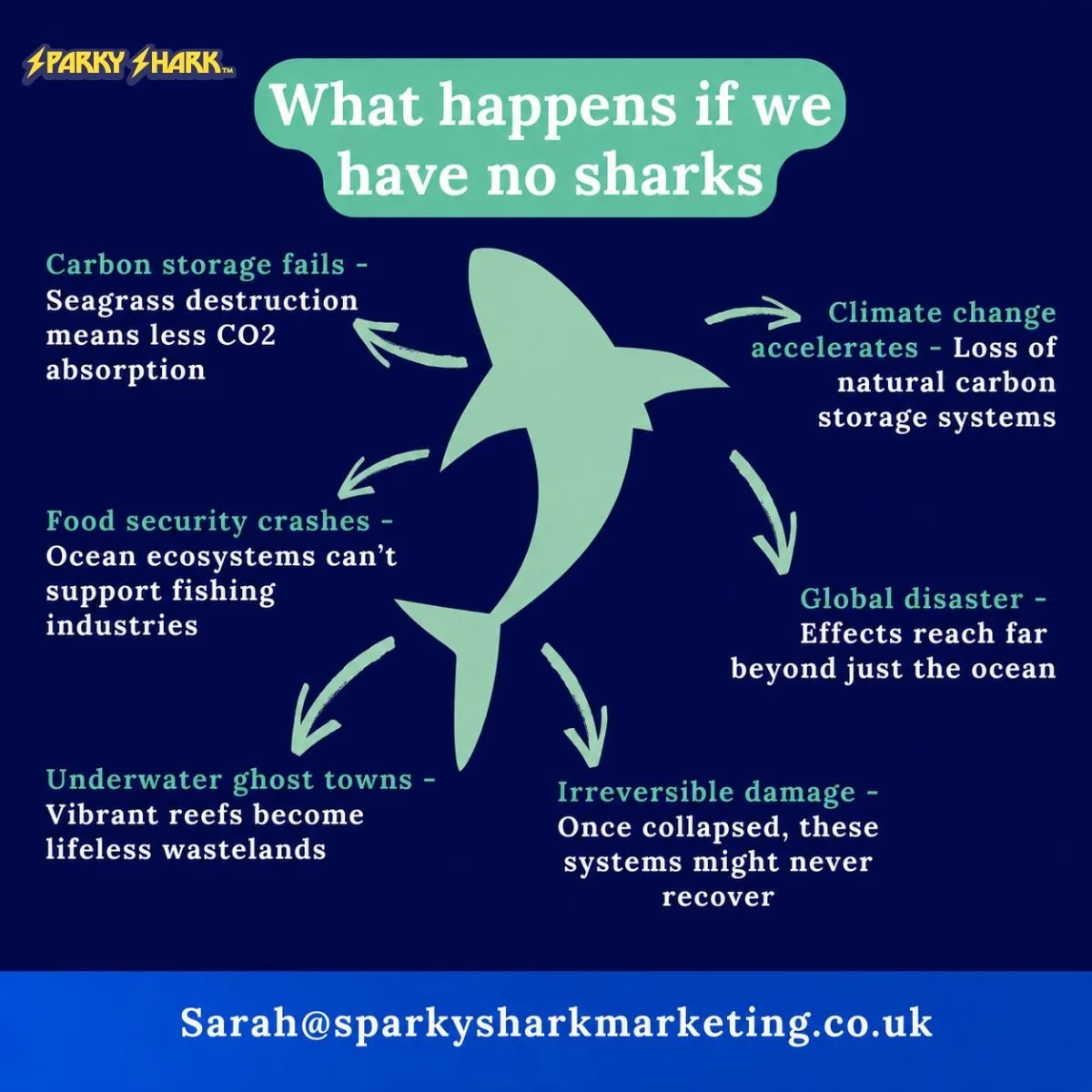 Why we need sharks: the ocean's most important workers