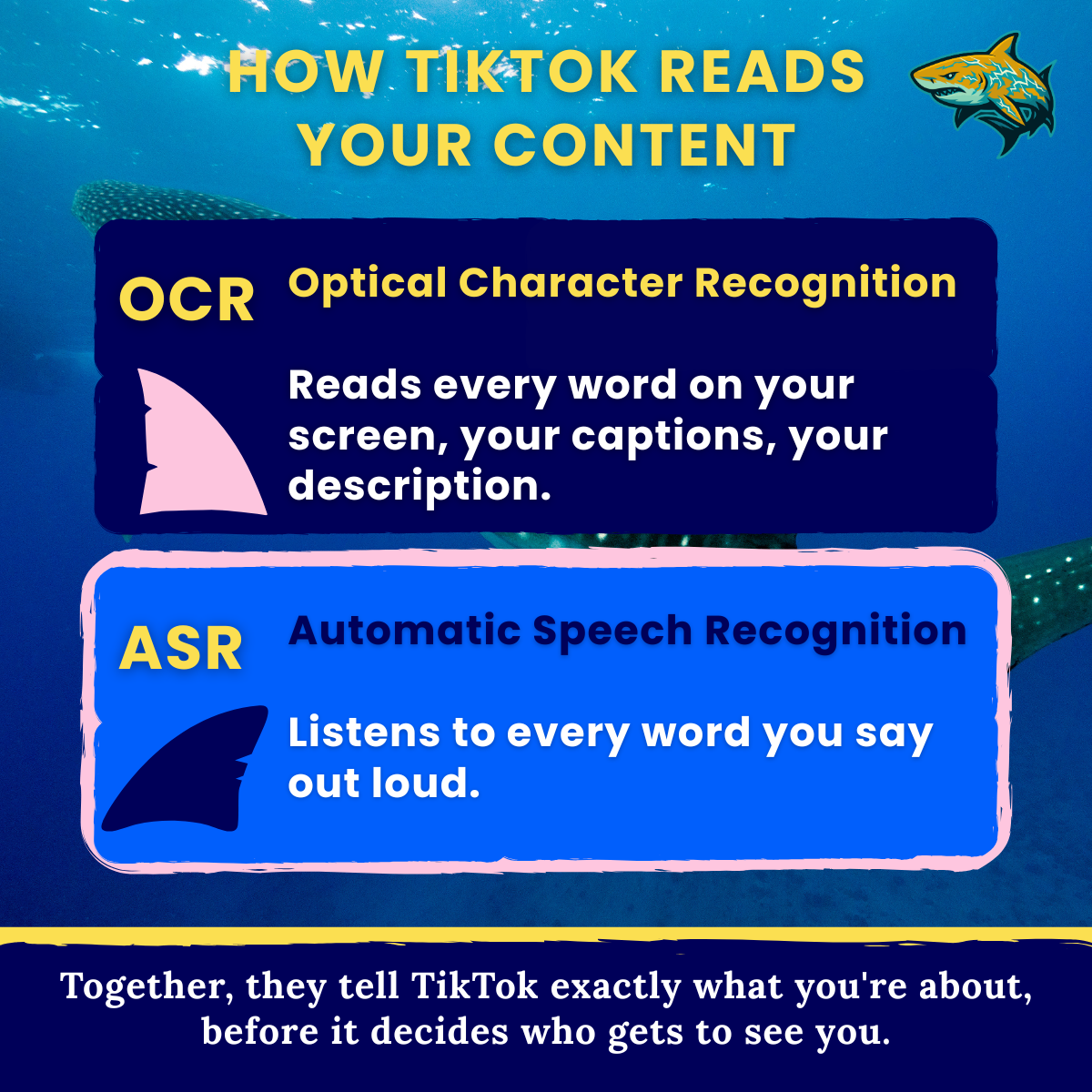 How to get seen on TikTok: keywords, OCR and ASR explained