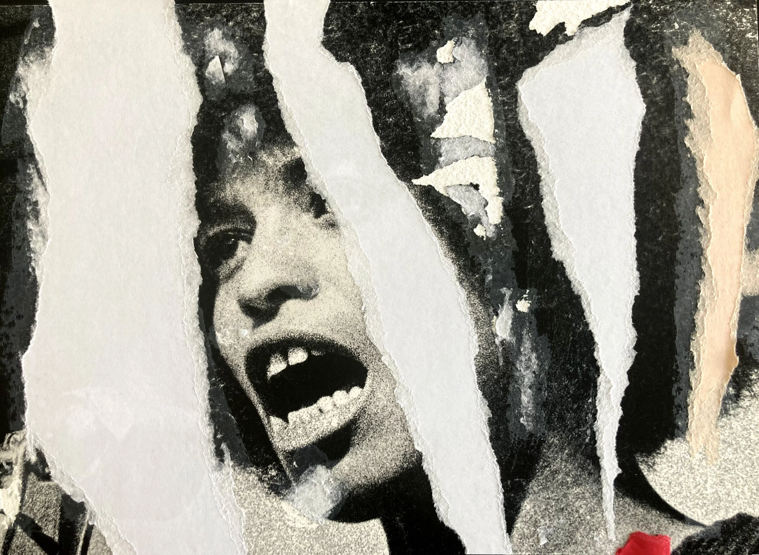 Angela Y. Davis (26.01.1944) (40,46 x 29,58 cm)