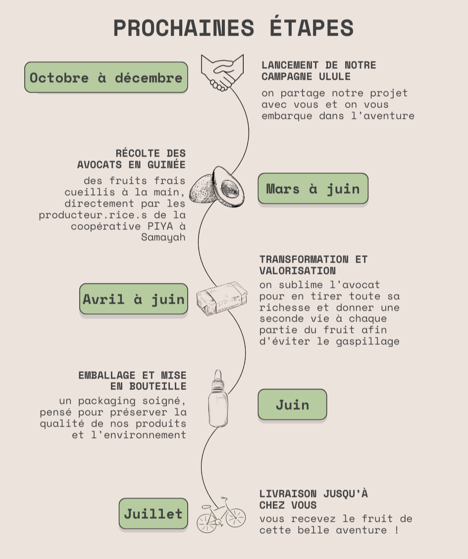 Un calendrier illustré montrant les différentes étapes de la récolte et de la valorisation de l'avocat, avec des délais spécifiques allant d'octobre à juillet.