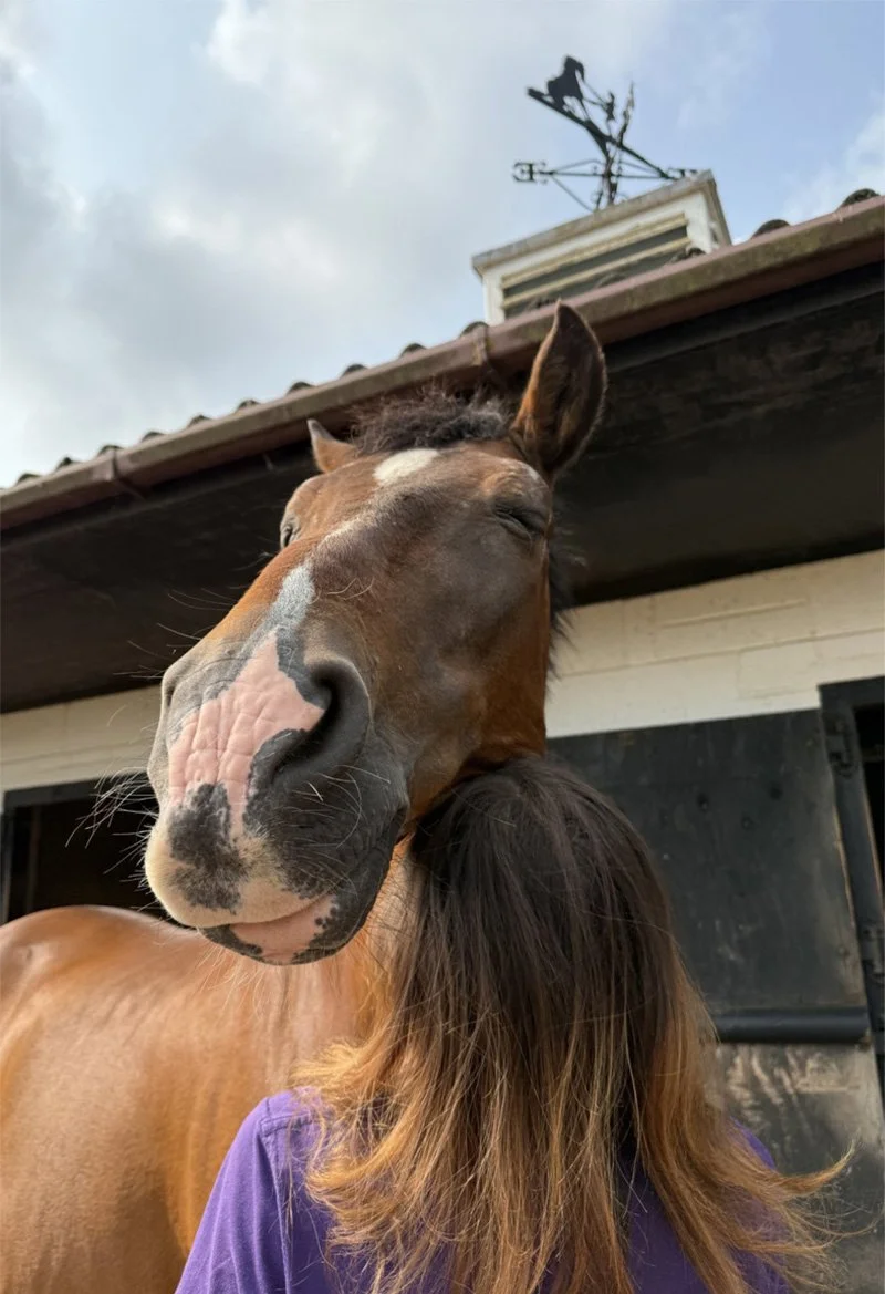A horse nuzzles a person with long brown hair wearing a purple shirt outside a building with a cloudy sky and a weather vane on the roof.