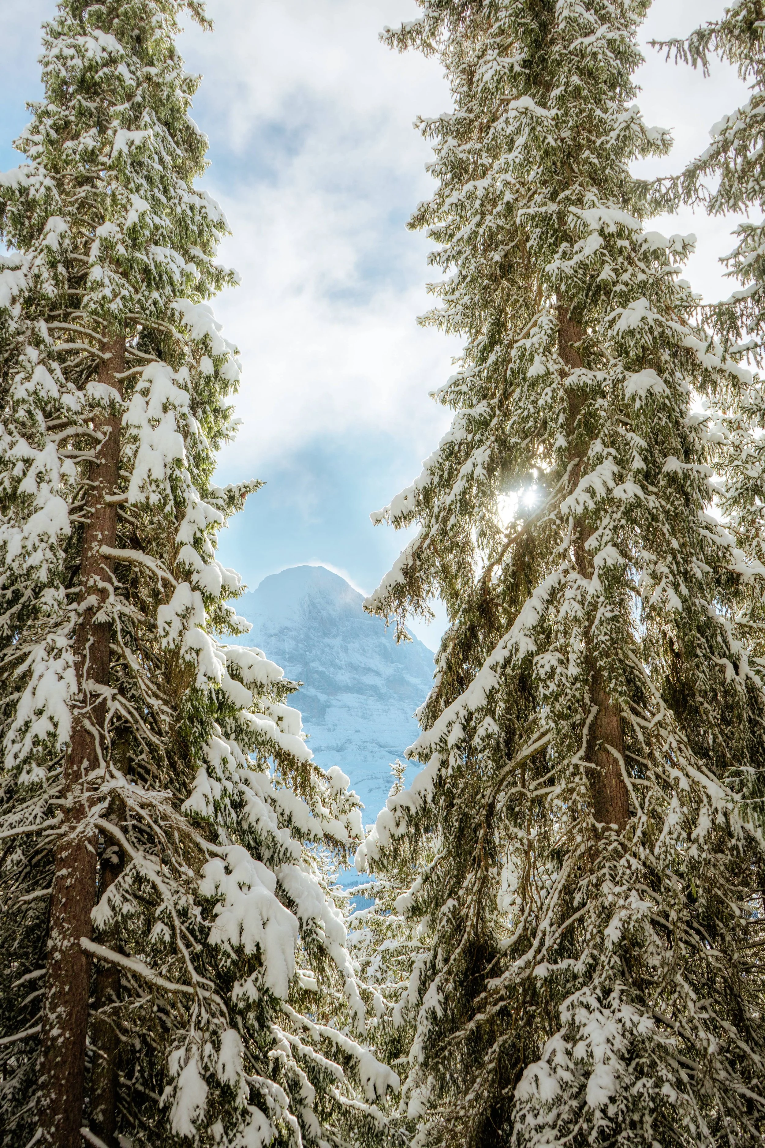 Switzerland day 2 photos-4.jpg