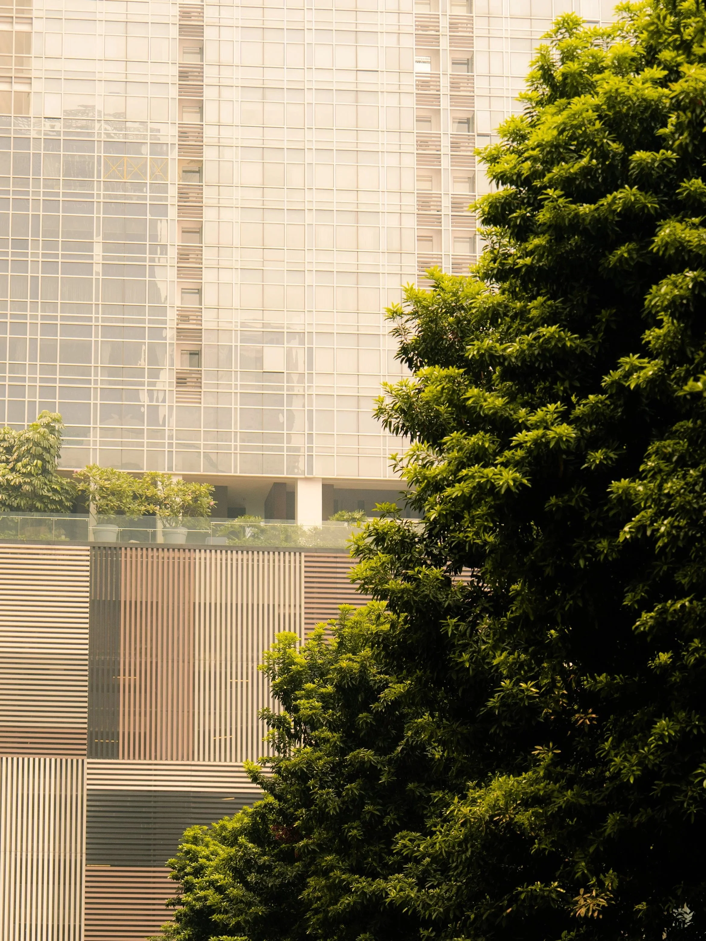 Singapore+destination+images-22.jpg