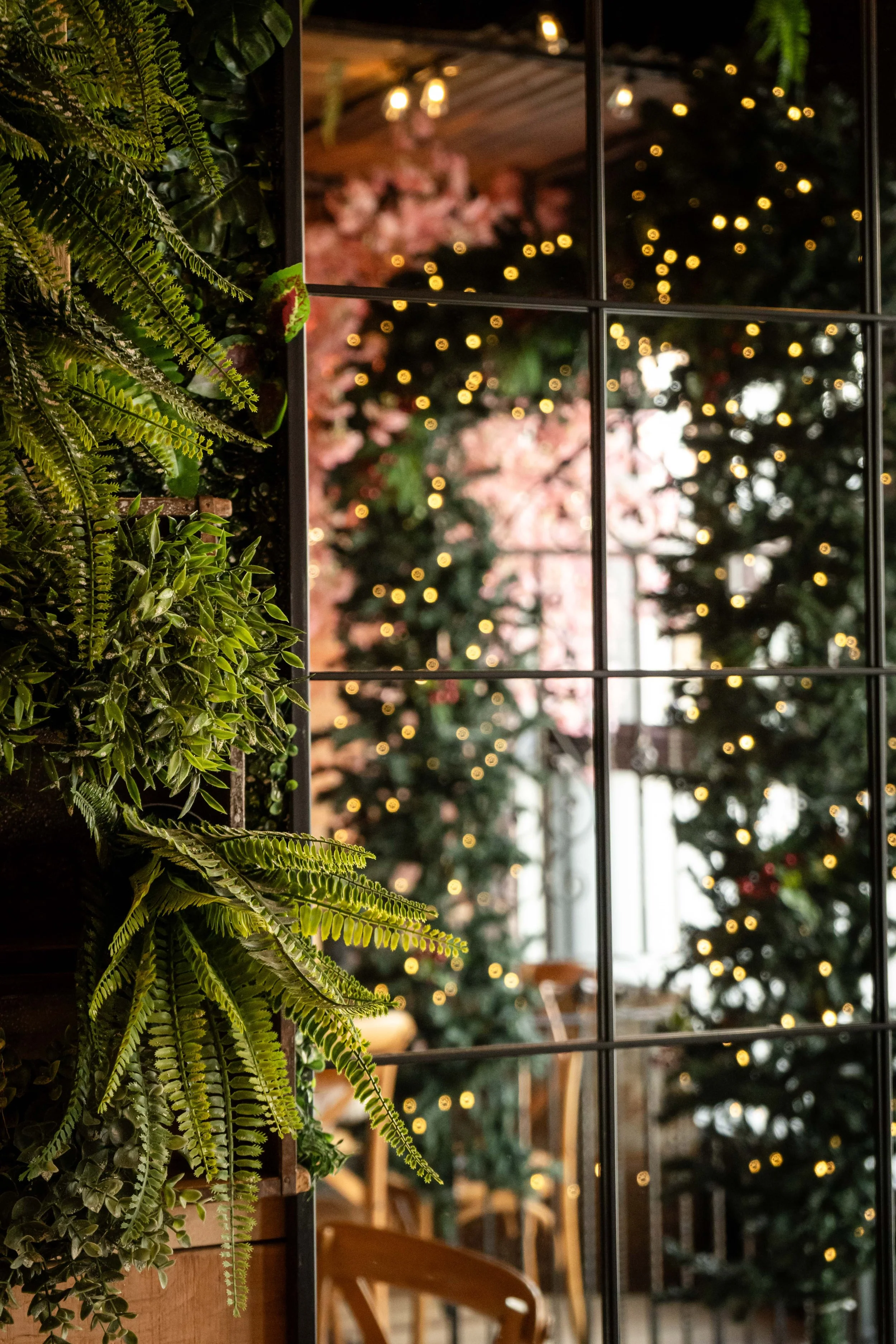 XMAS decs compressed-7.jpg