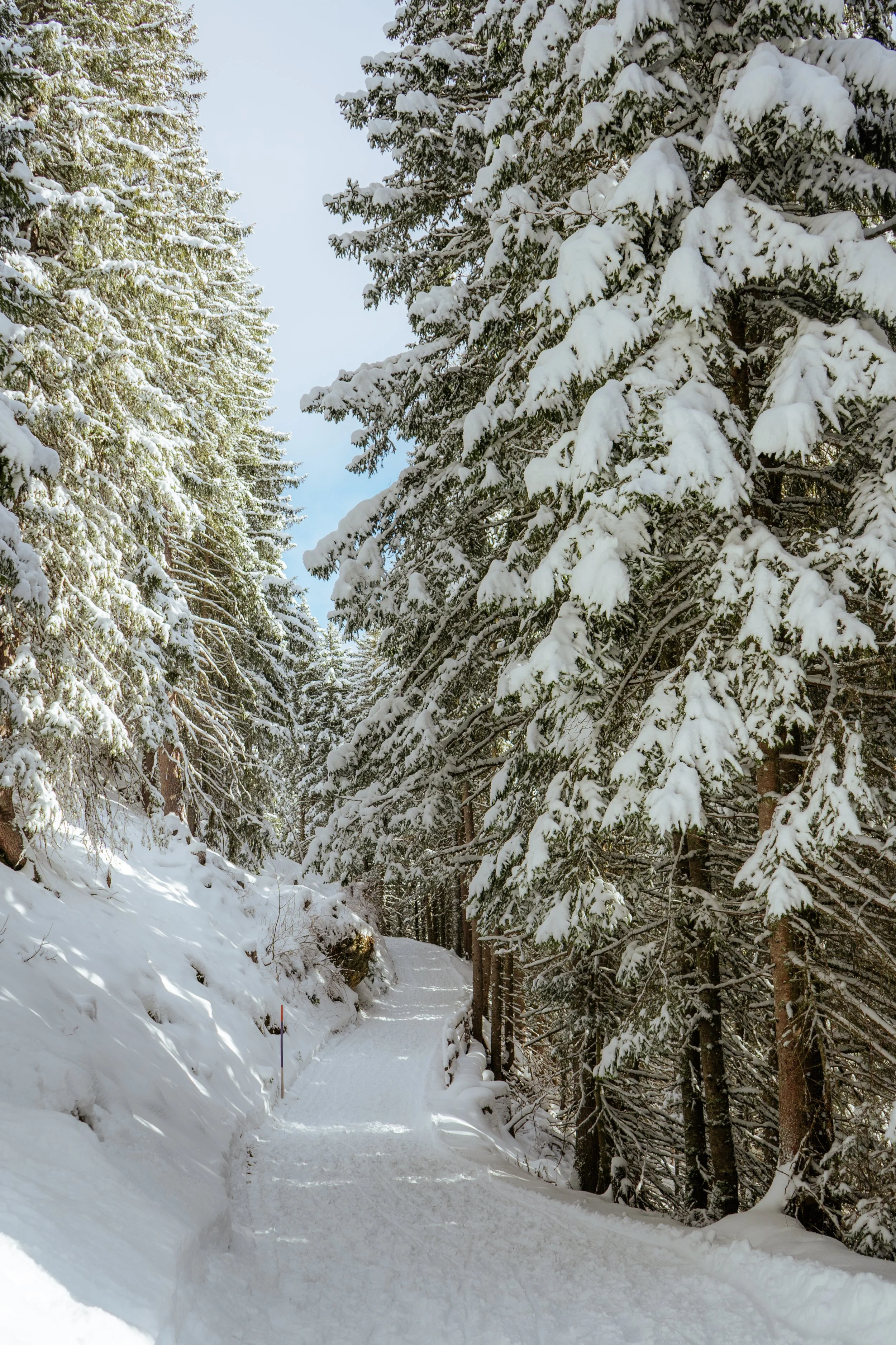 Switzerland day 2 photos-5.jpg