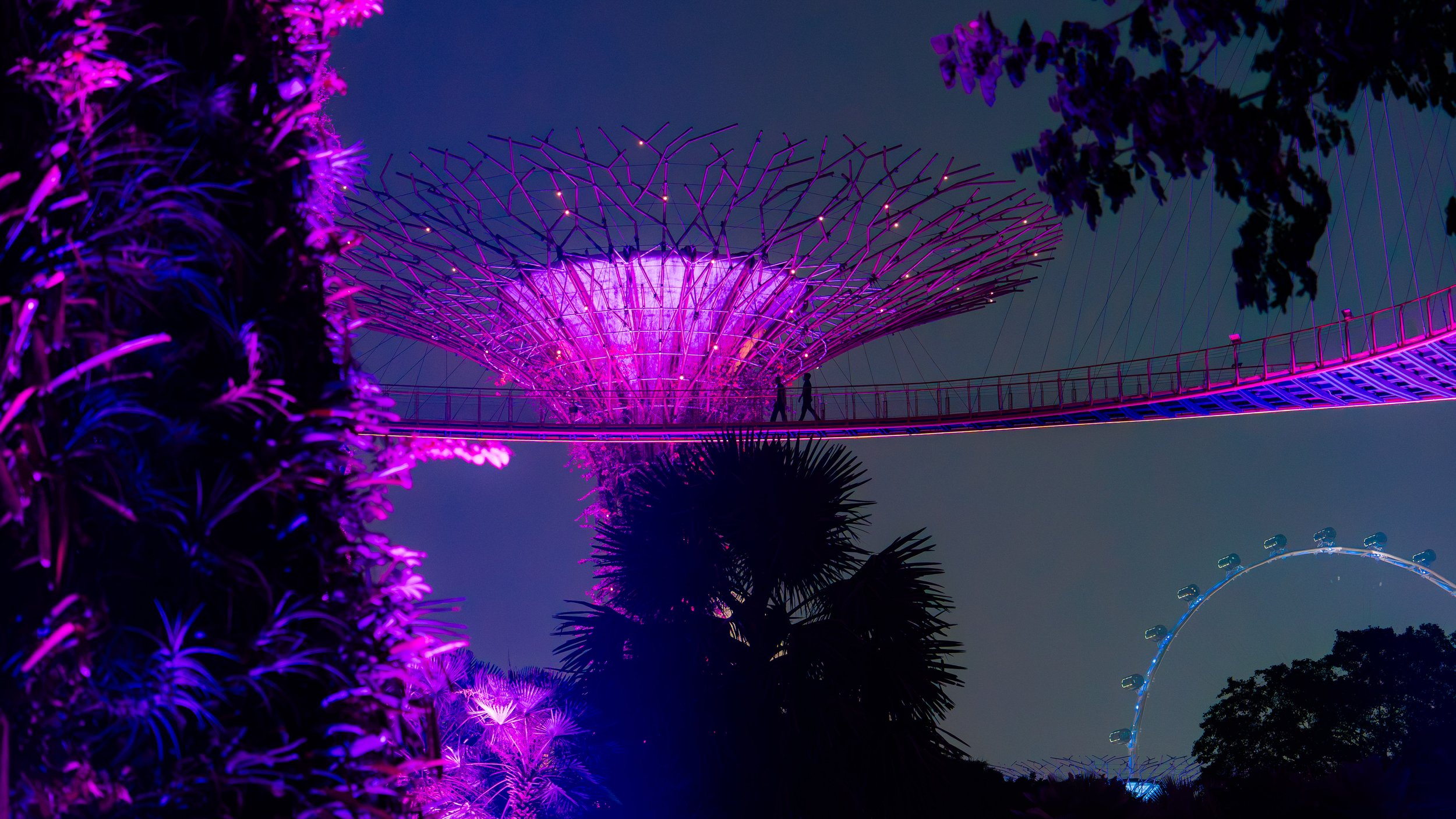 Singapore destination.jpg