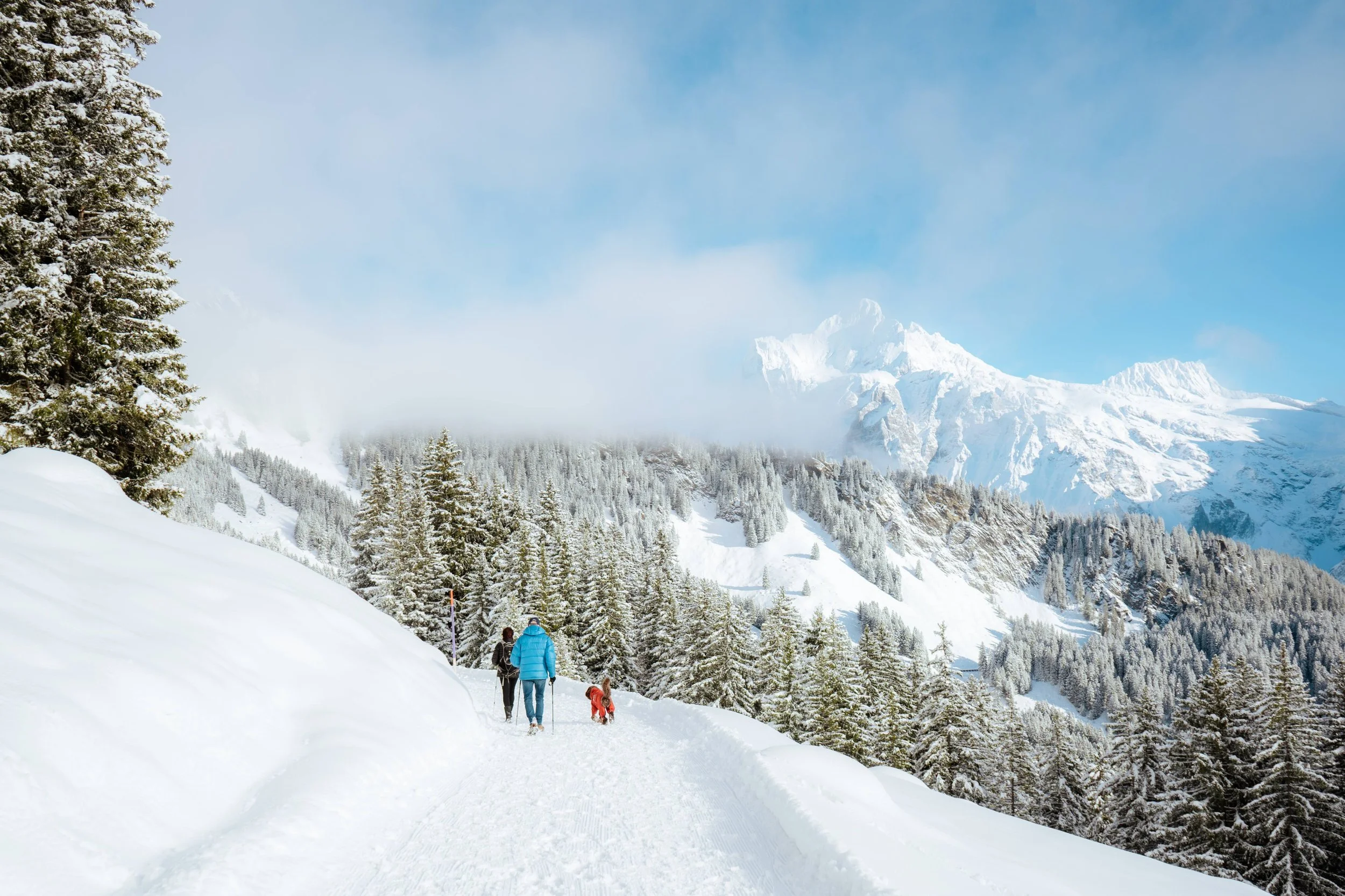 Switzerland day 2 photos-2.jpg