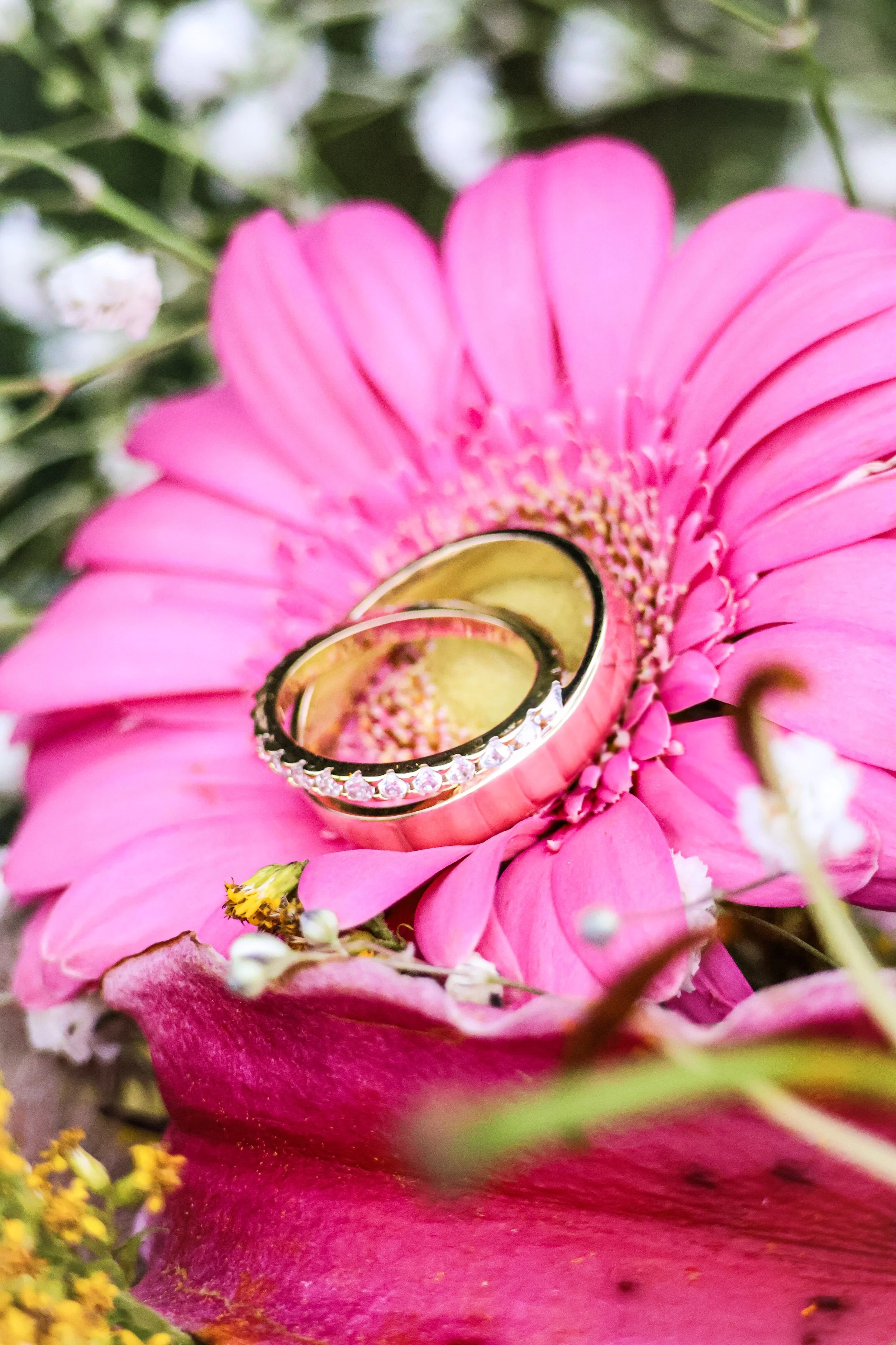 Two gold wedding rings with diamonds placed on a vibrant pink flower with green foliage in the background.
