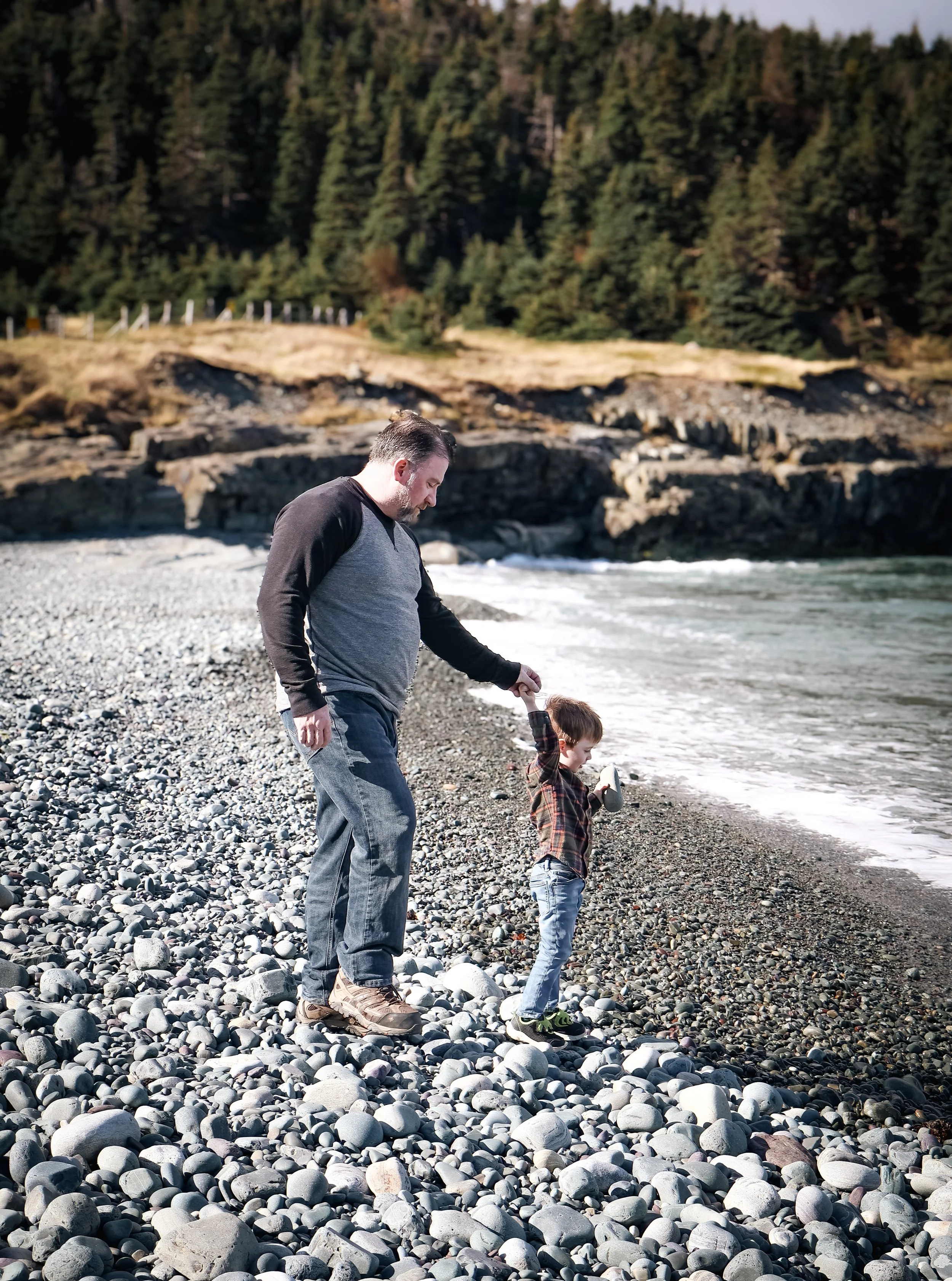 A man and a young boy standing on a rocky beach near the ocean, with trees and rocks in the background. The man is holding the boy's hand as he looks down at the shore.