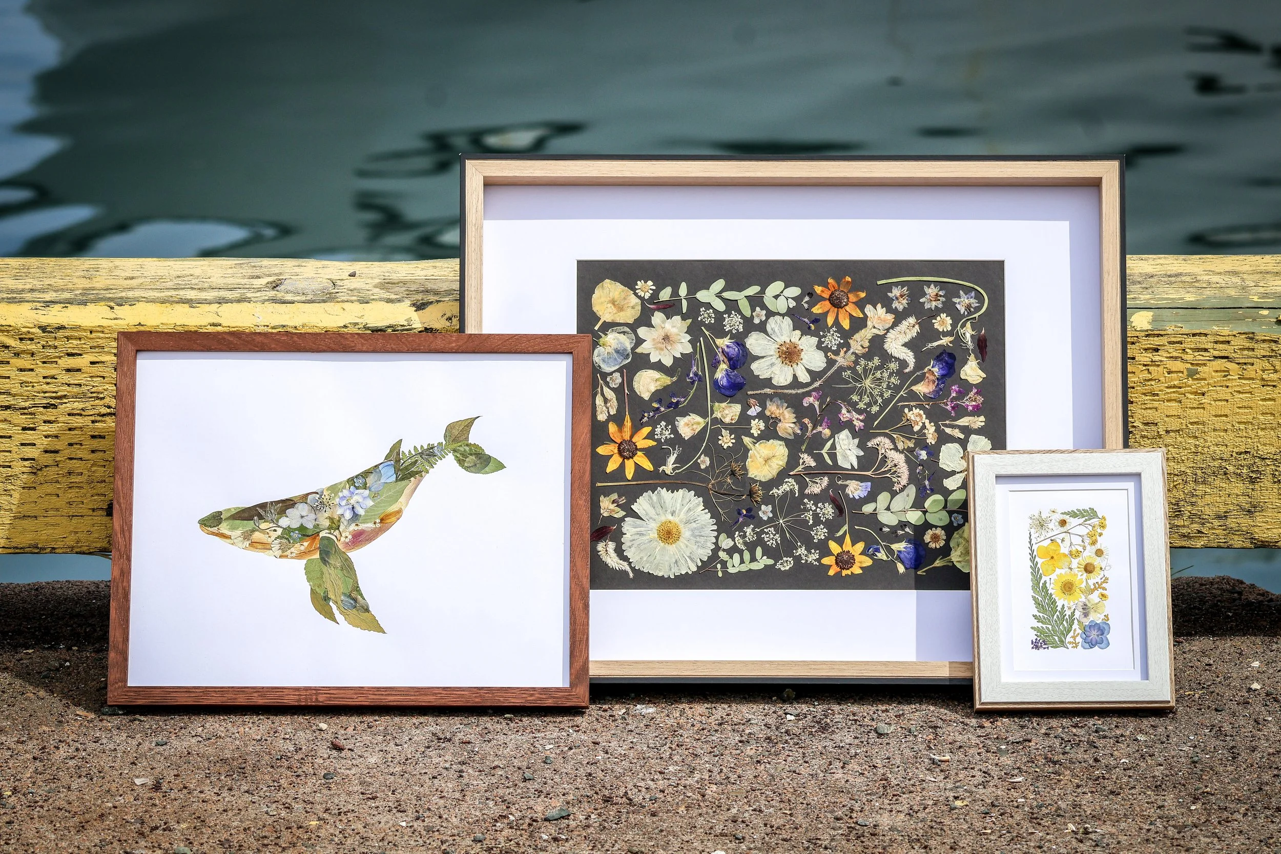 Three framed artworks featuring pressed flowers and leaves, leaning against a yellow wooden bench near a body of water.