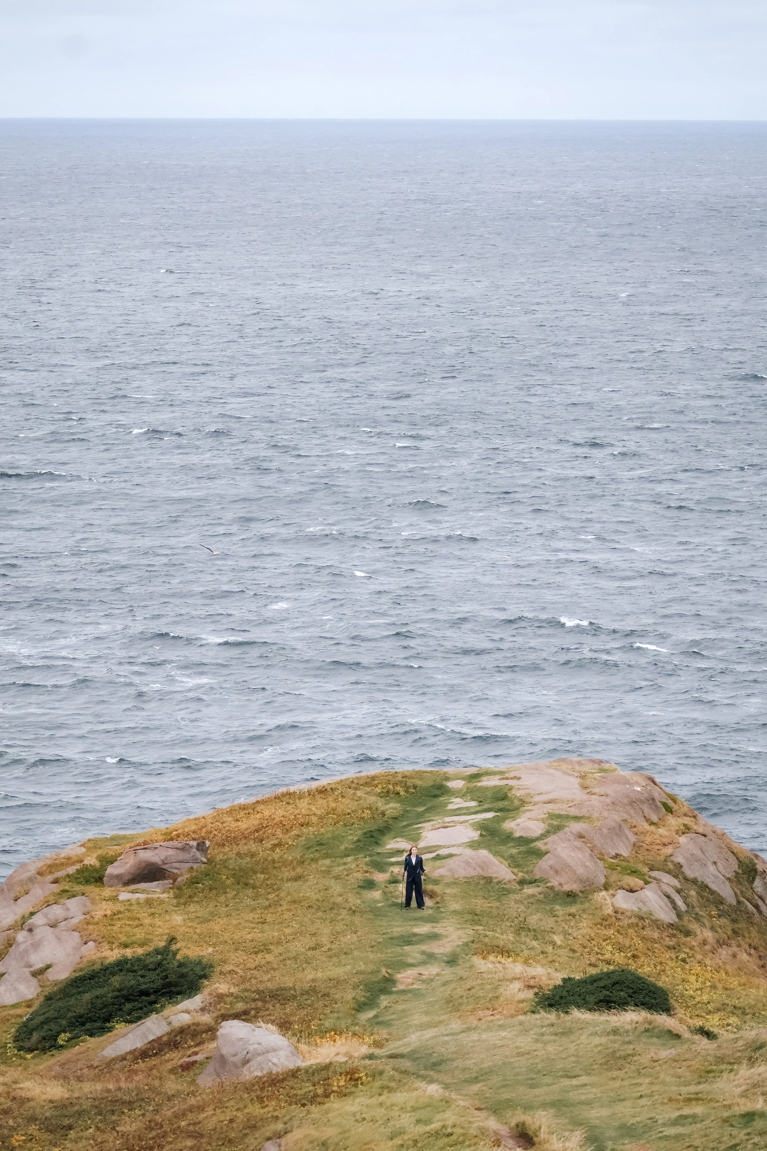 A person in a suit standing on a grassy cliff overlooking the ocean.